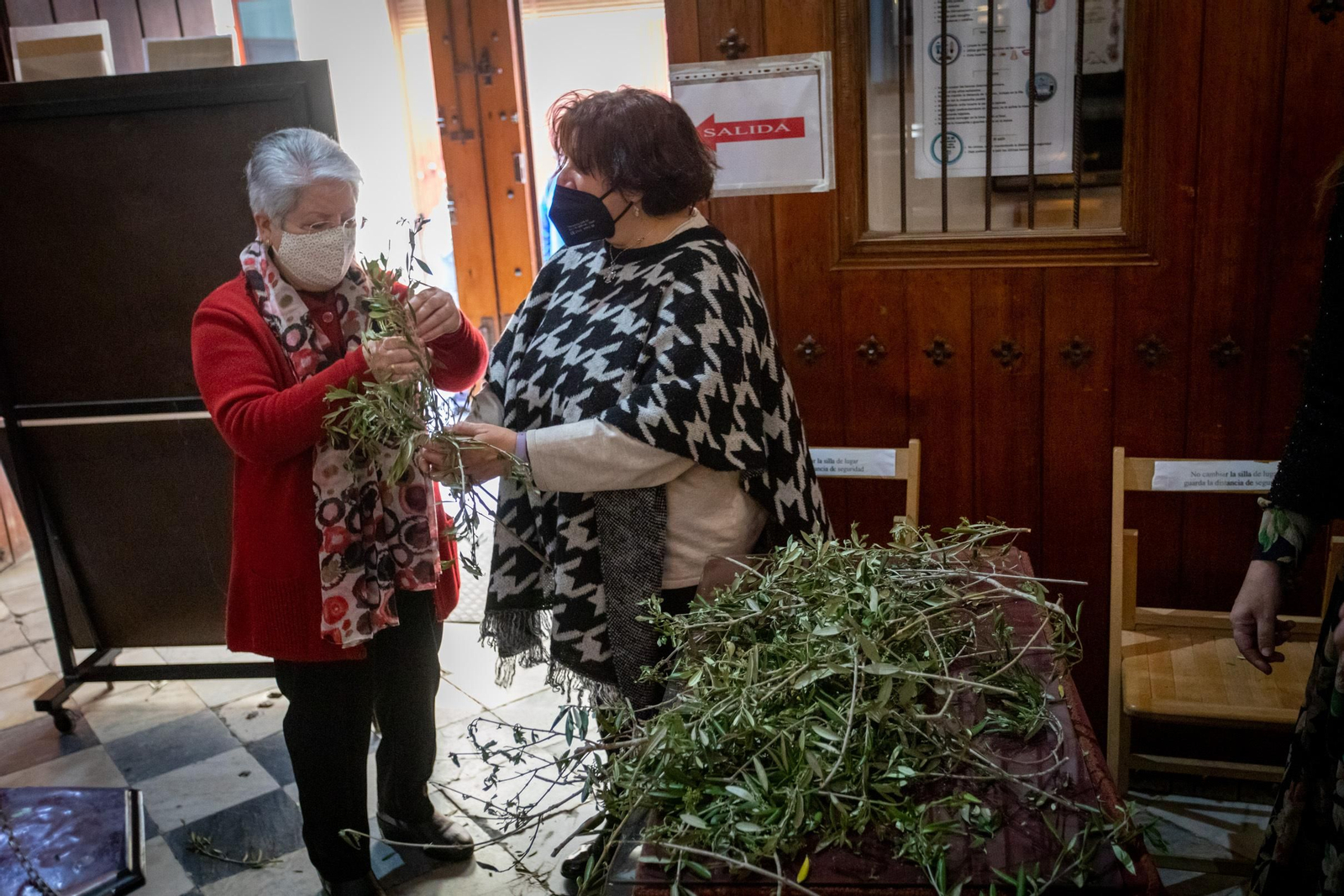 Las imágenes del Domingo de Ramos en Cádiz