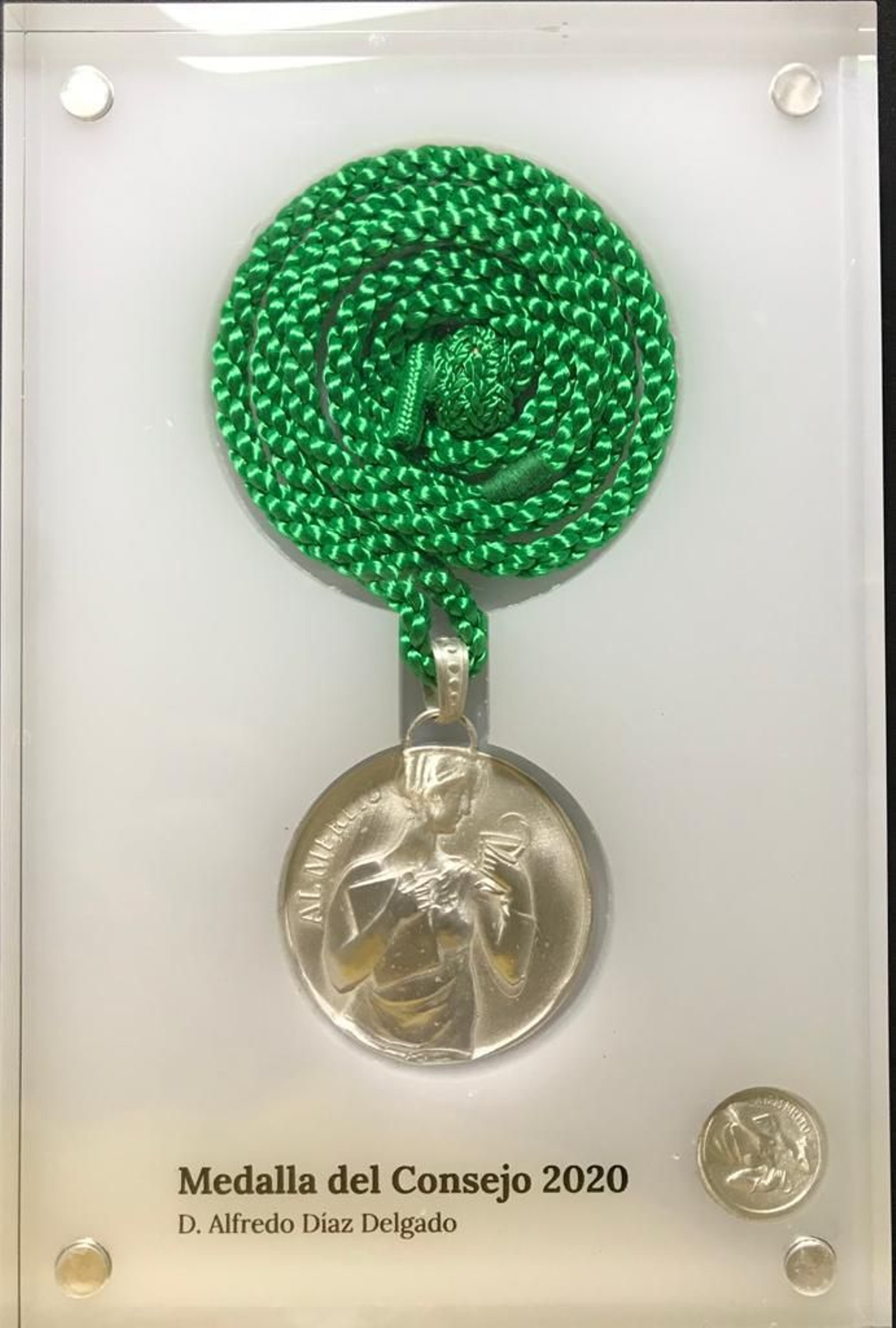 La medalla otorgada a título póstumo a Alfredo Díaz Delgado