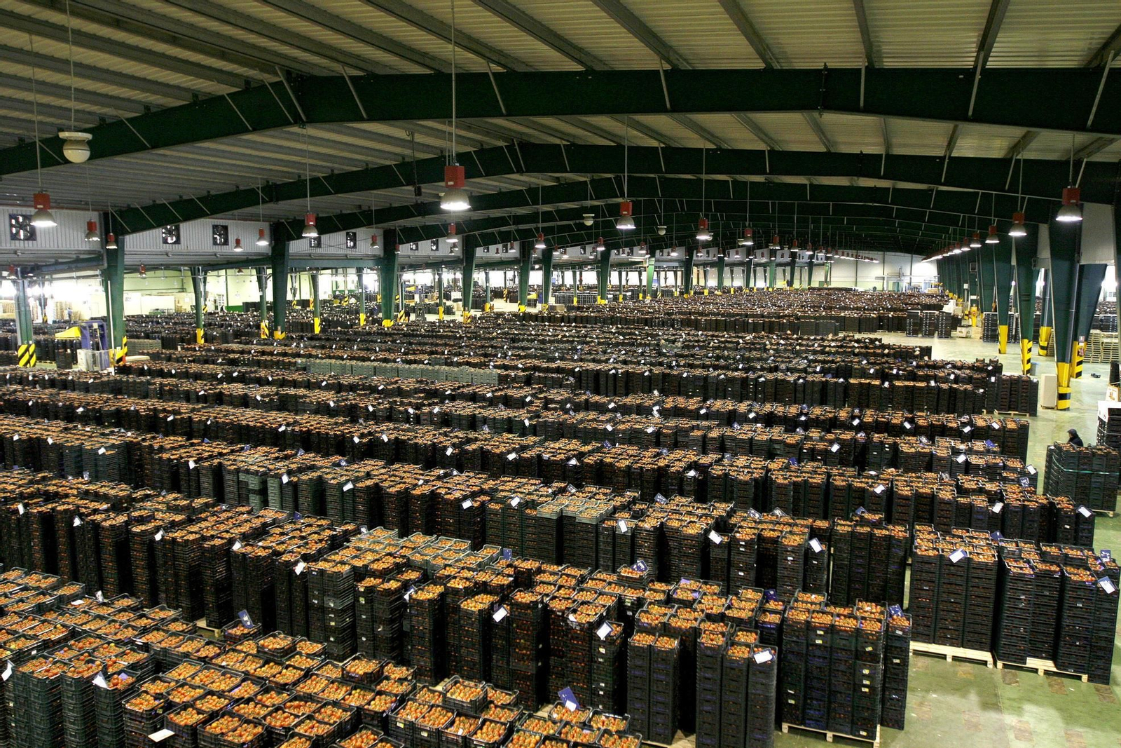 La herramienta monitoriza qué personal está realizando una actividad concreta.