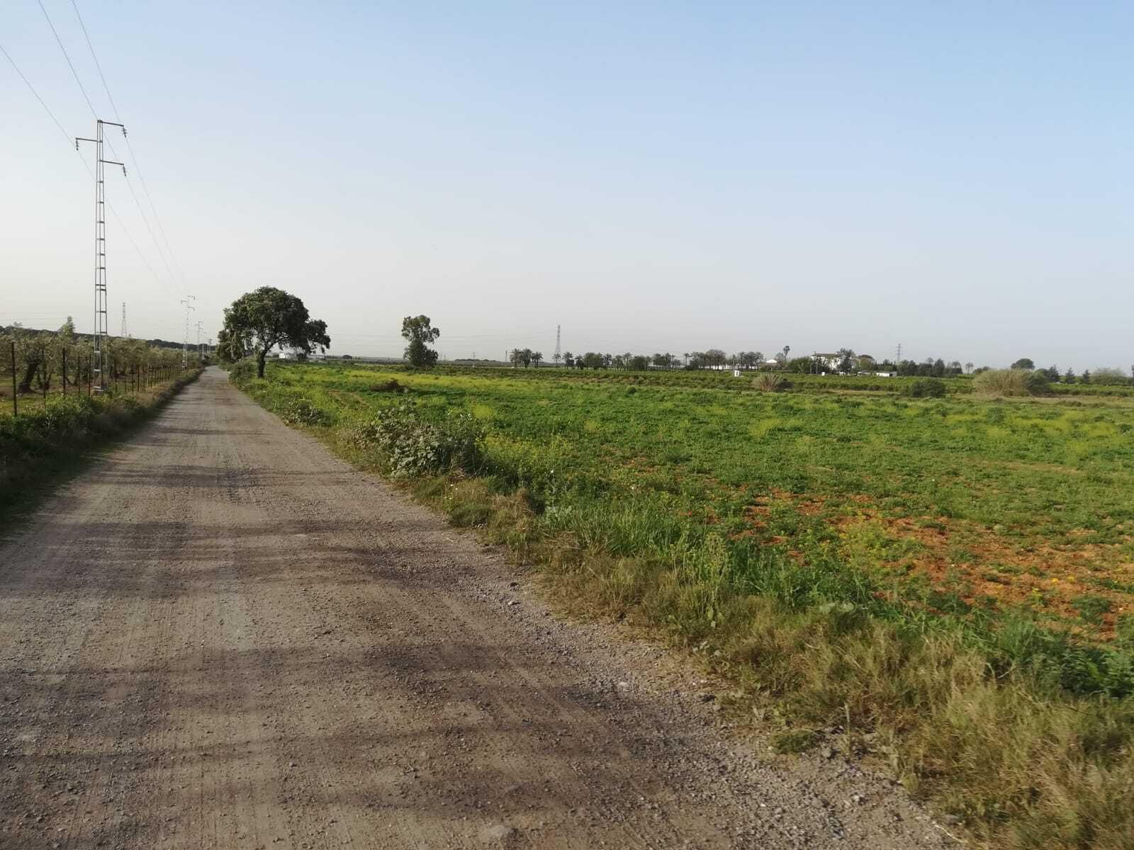 Fotos de la ruta Umbrete-Ermita de Cuatrovitas