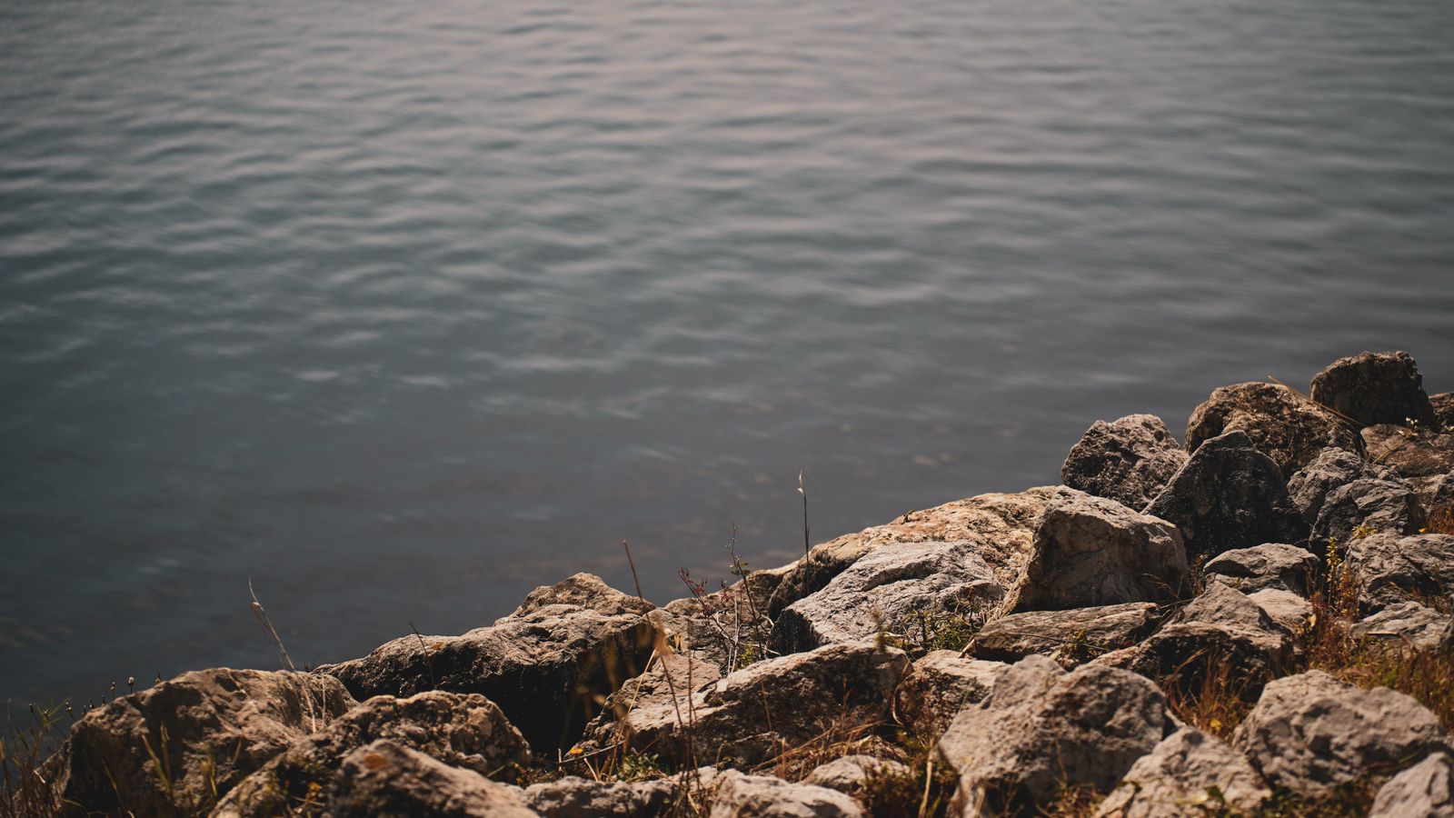 Personas disfrutando del mañaneo en el paseo marítimo de Algeciras, en imágenes