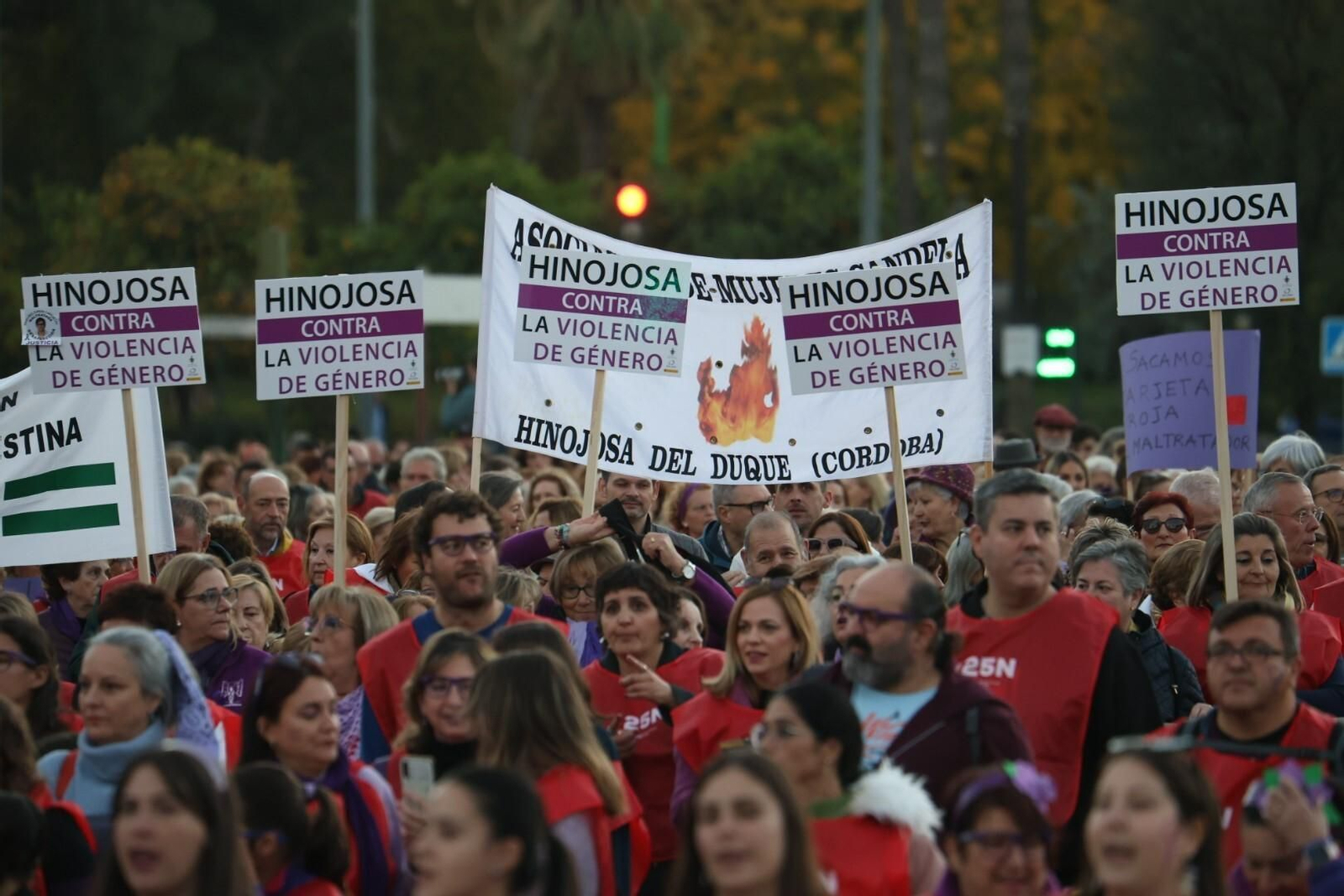 La manifestación del 25N en Córdoba, en imágenes