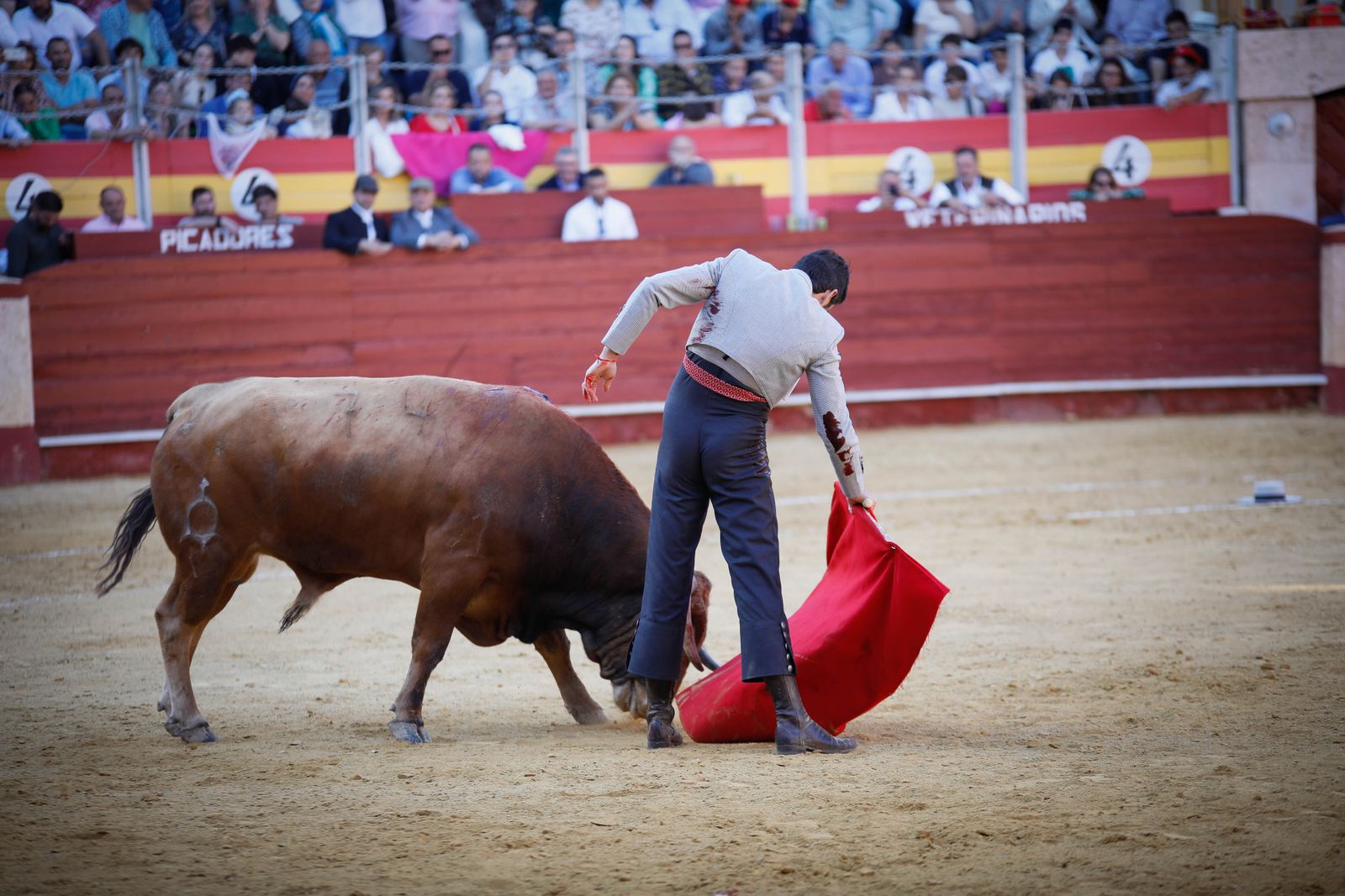 Imágenes del festival mixto lucha contra el cáncer