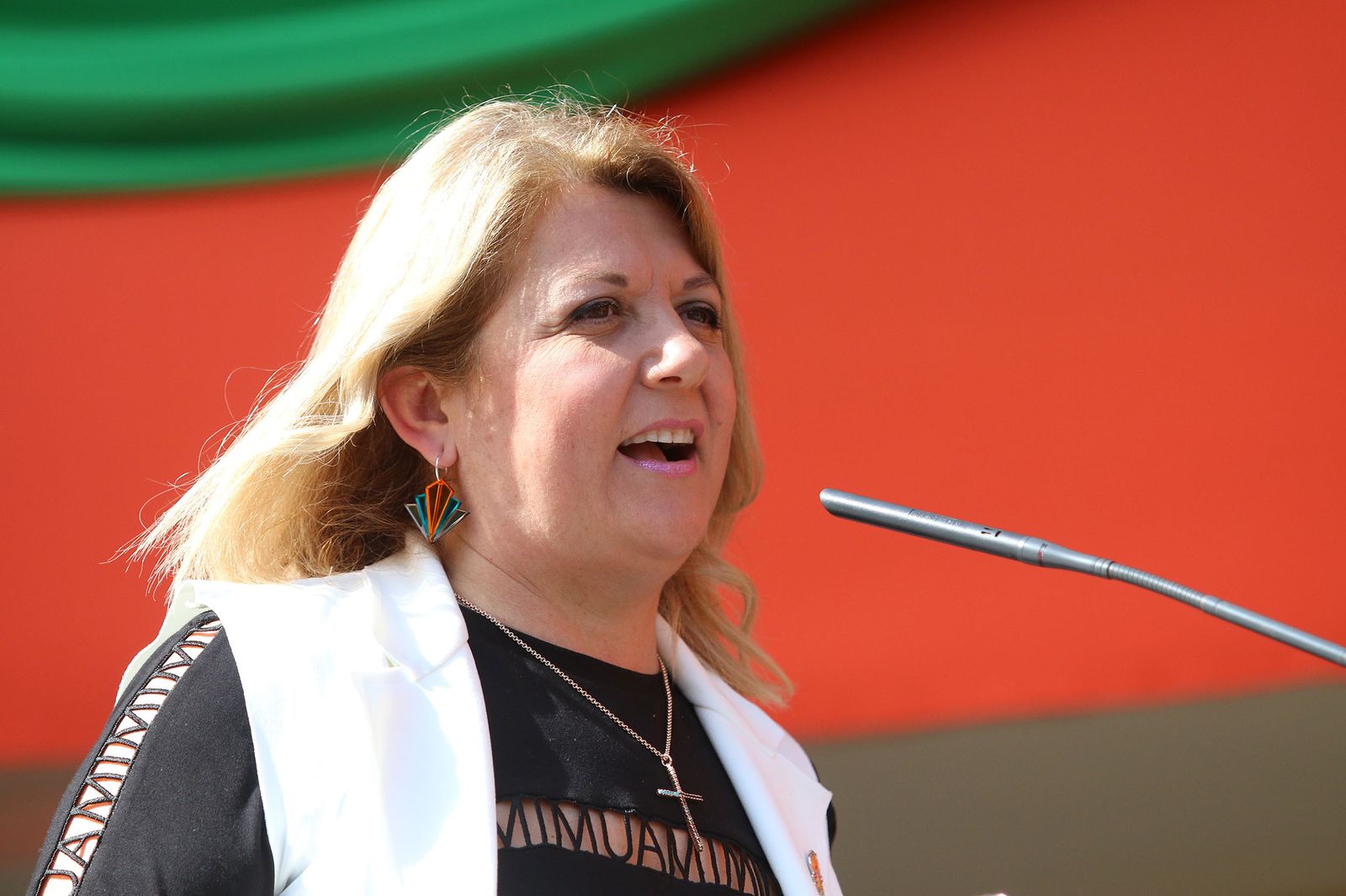 Fotogalería del Día de la Naranja de Gádor