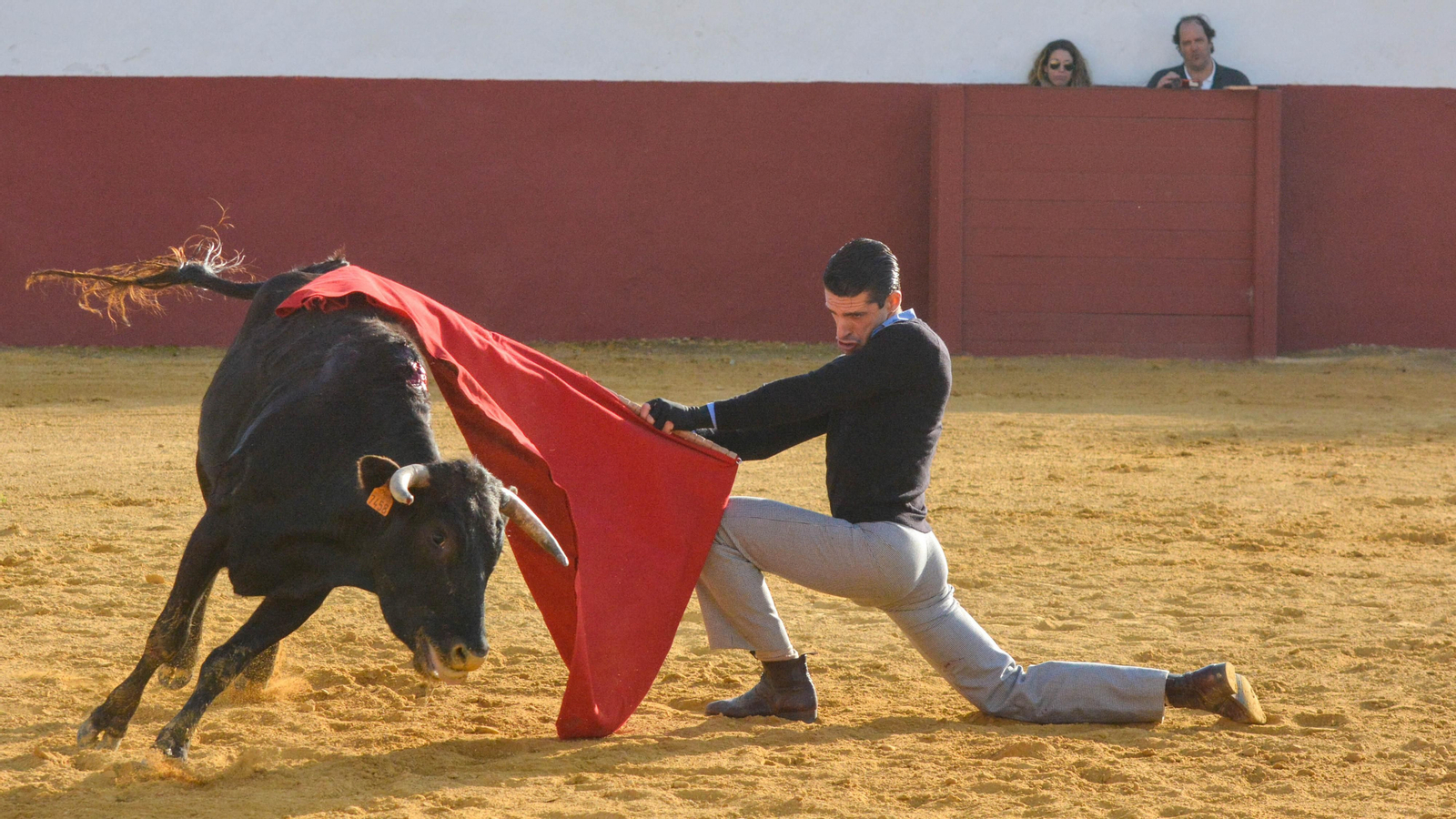 Tentadero con Talavante en la finca La Palmosilla