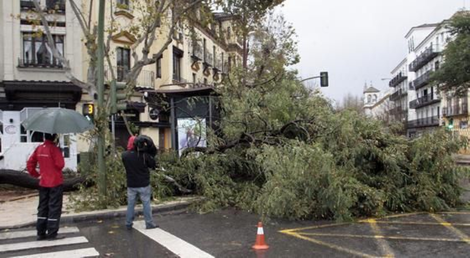 Foto: José Ángel García