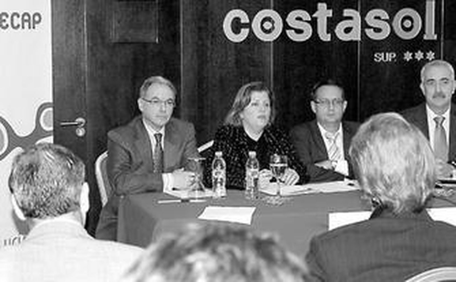 Castilla (Asempal), Pérez (Empleo), Lara (Inem) y Trigueros (Academias).