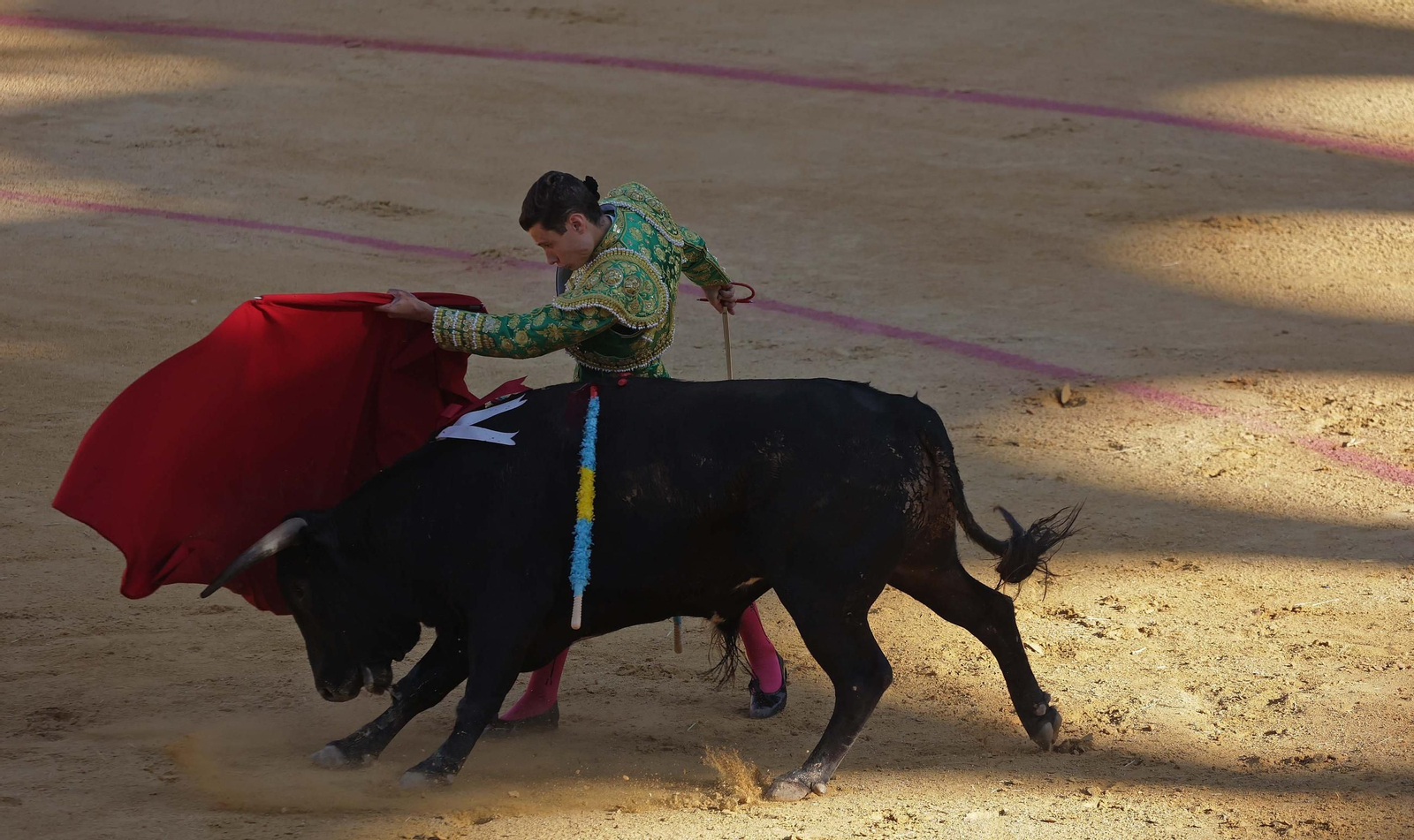 Fotos de la novillada sin picadores del miércoles de la Feria Real de Algeciras 2025
