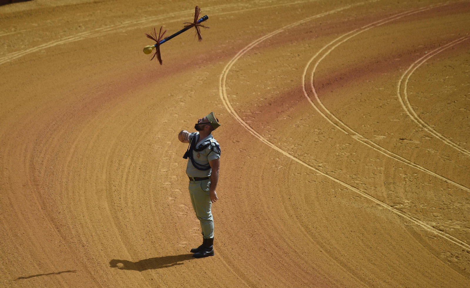 Las imágenes de la Exhibición de Enganches en la Maestranza