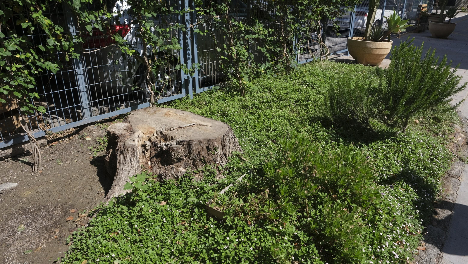 Proyecto Aulas Verdes Abiertas en el Colegio Mar Mediterráneo, de Almería