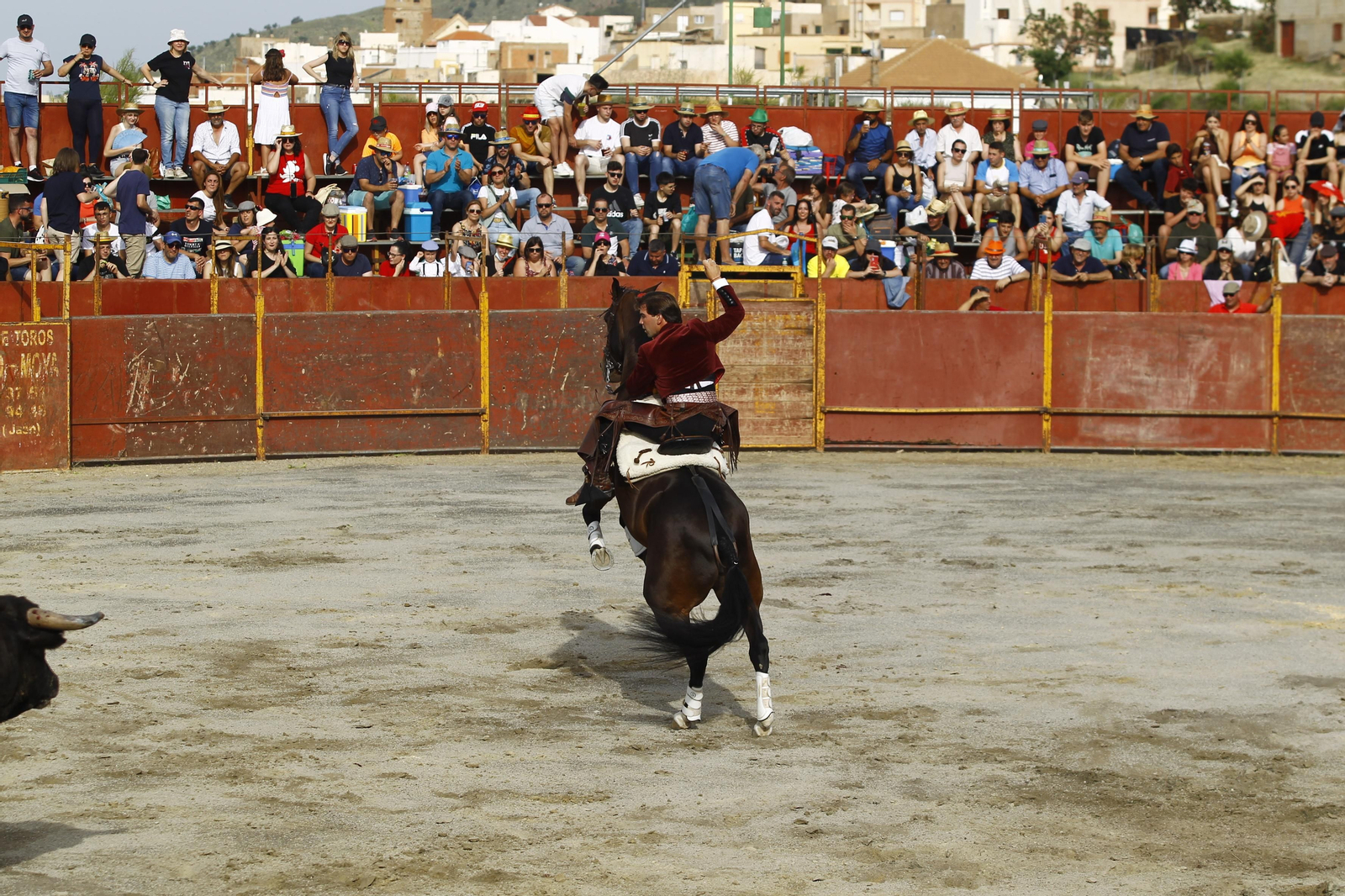 Imágenes de la corrida de toros en las Fiestas de Abrucena.