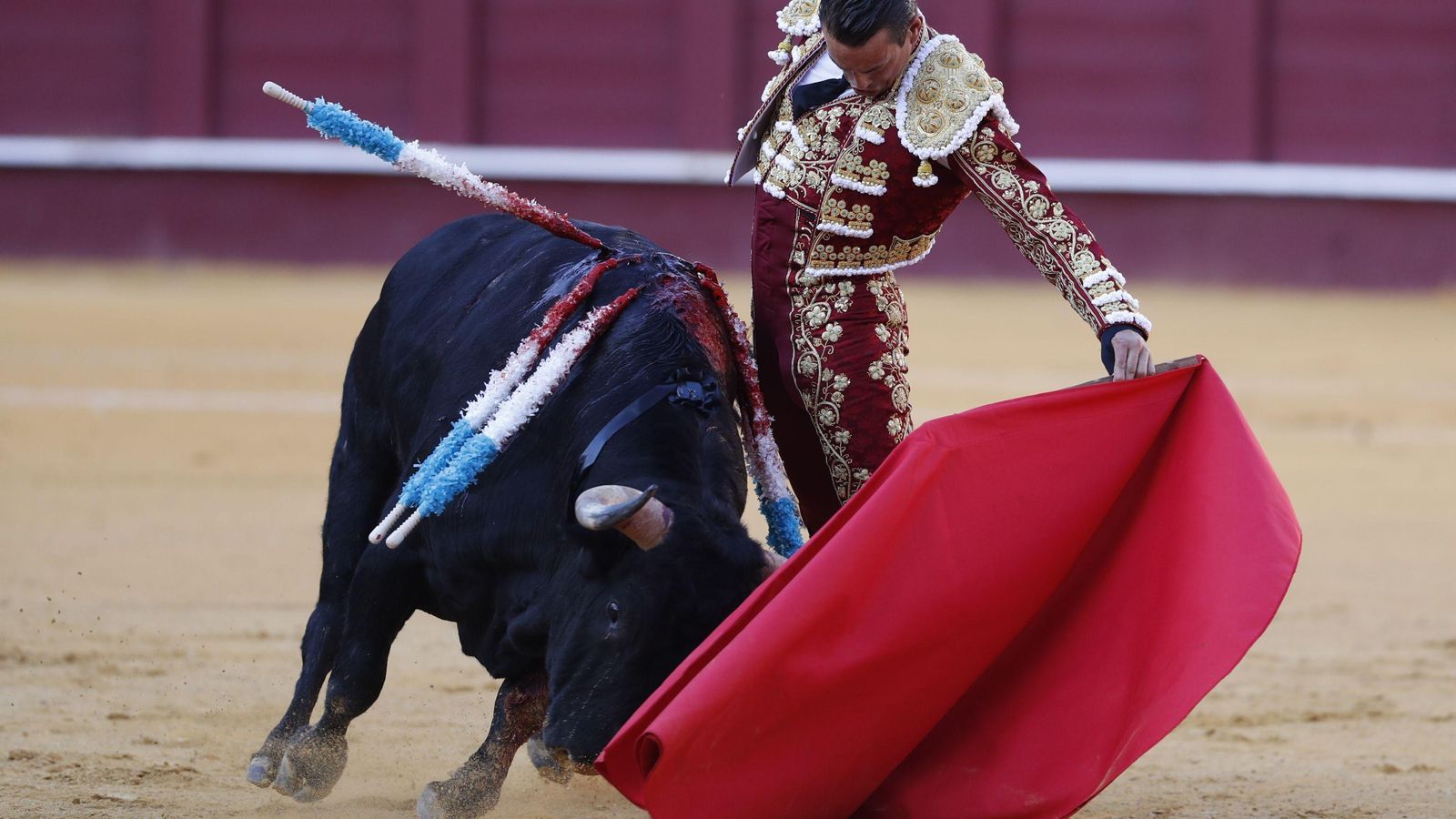 José María Manzanares con el primero de su lote. José María Manzanares con el primero de su lote.