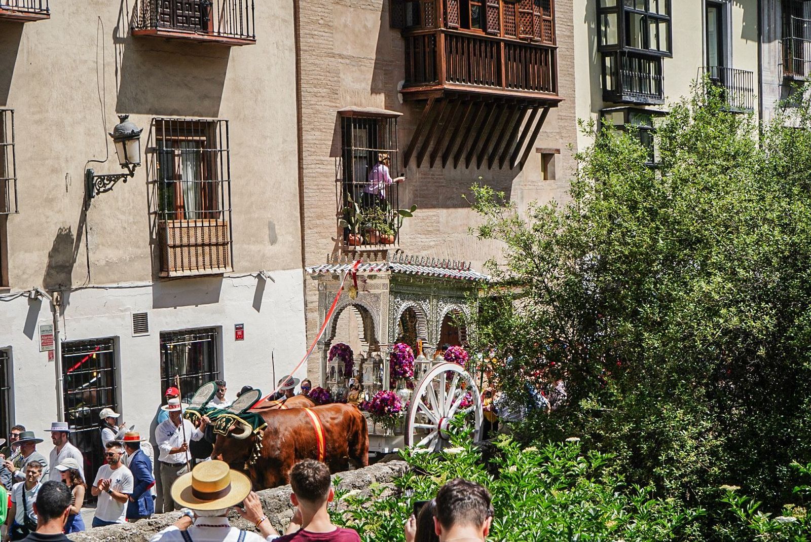 Así ha sido la salida de la Hermandad del Rocío de Granada