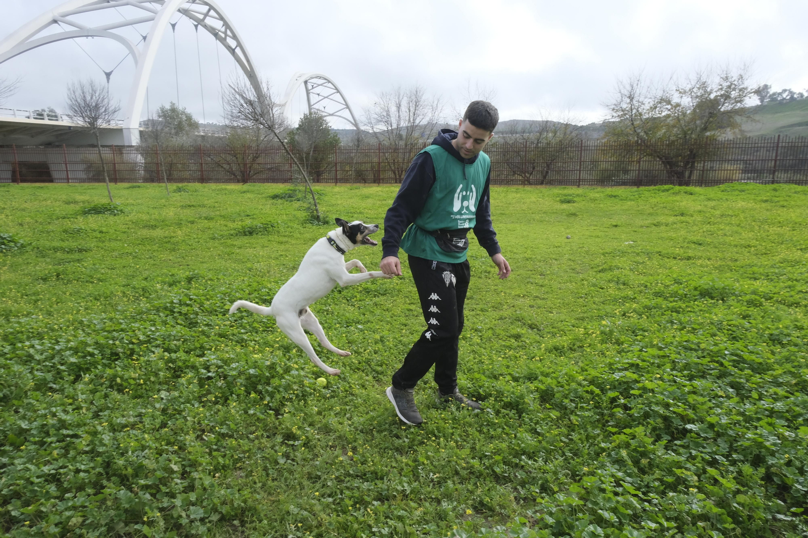 Un paseo por el Centro de Salud y Bienestar Animal de Córdoba, en imágenes