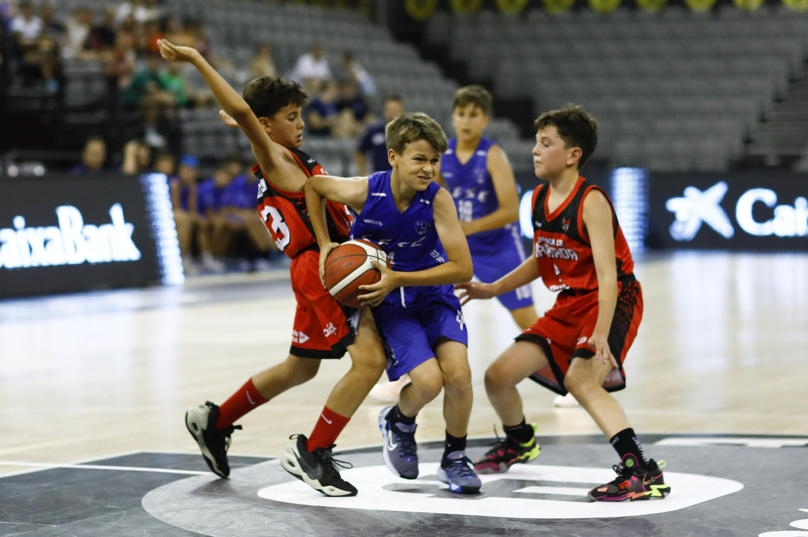 Encuéntrate en el partido del Fundación CB Granada de minibasket
