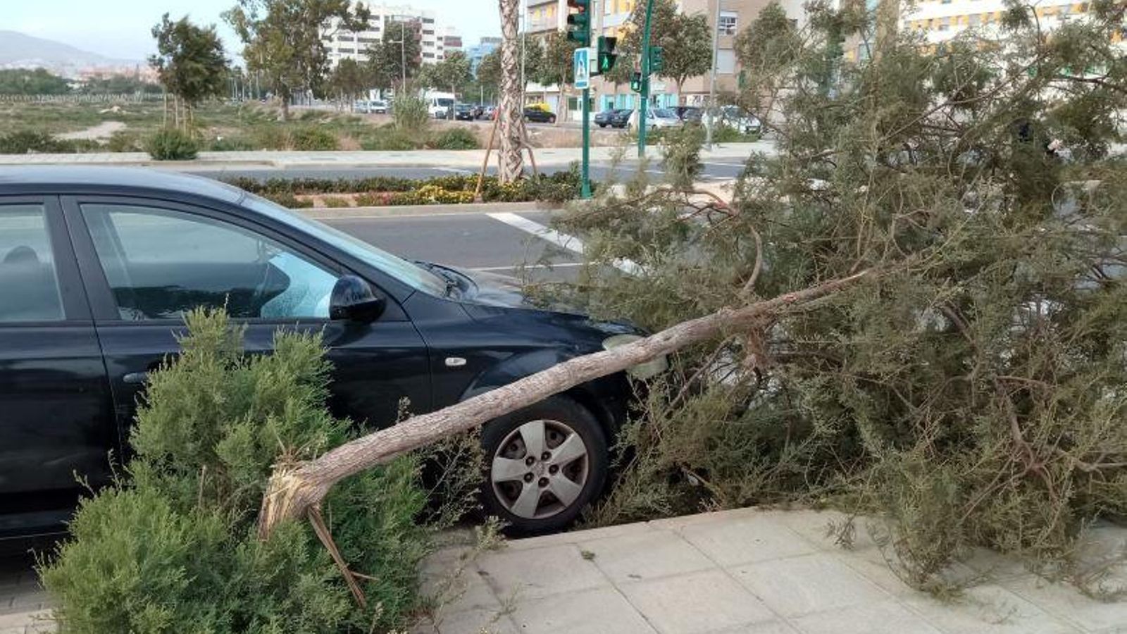 Un árbol caído sobre un coche en la zona de la Vega.