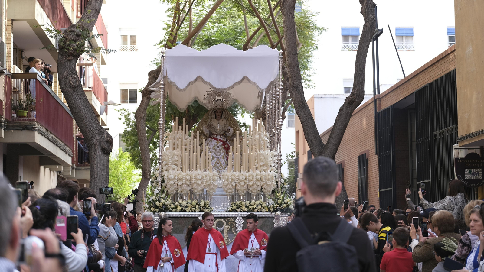 Imágenes de la Procesión de la Borriquita de Almería