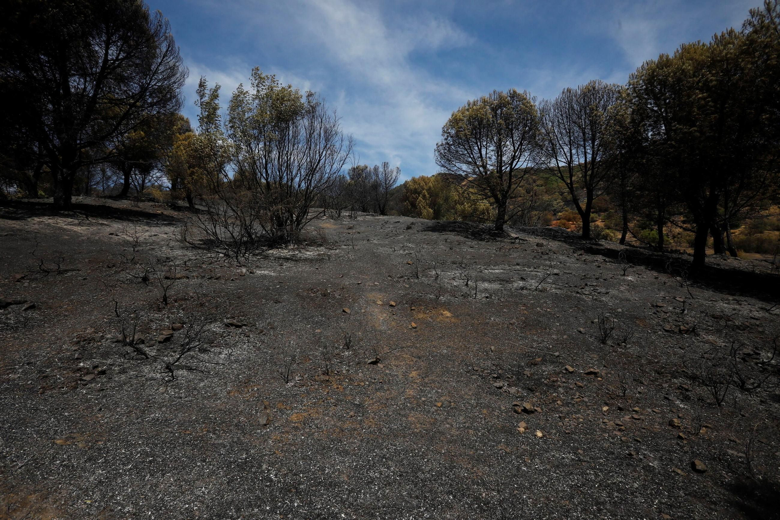 Zona cero del incendio de la Sierra de Córdoba