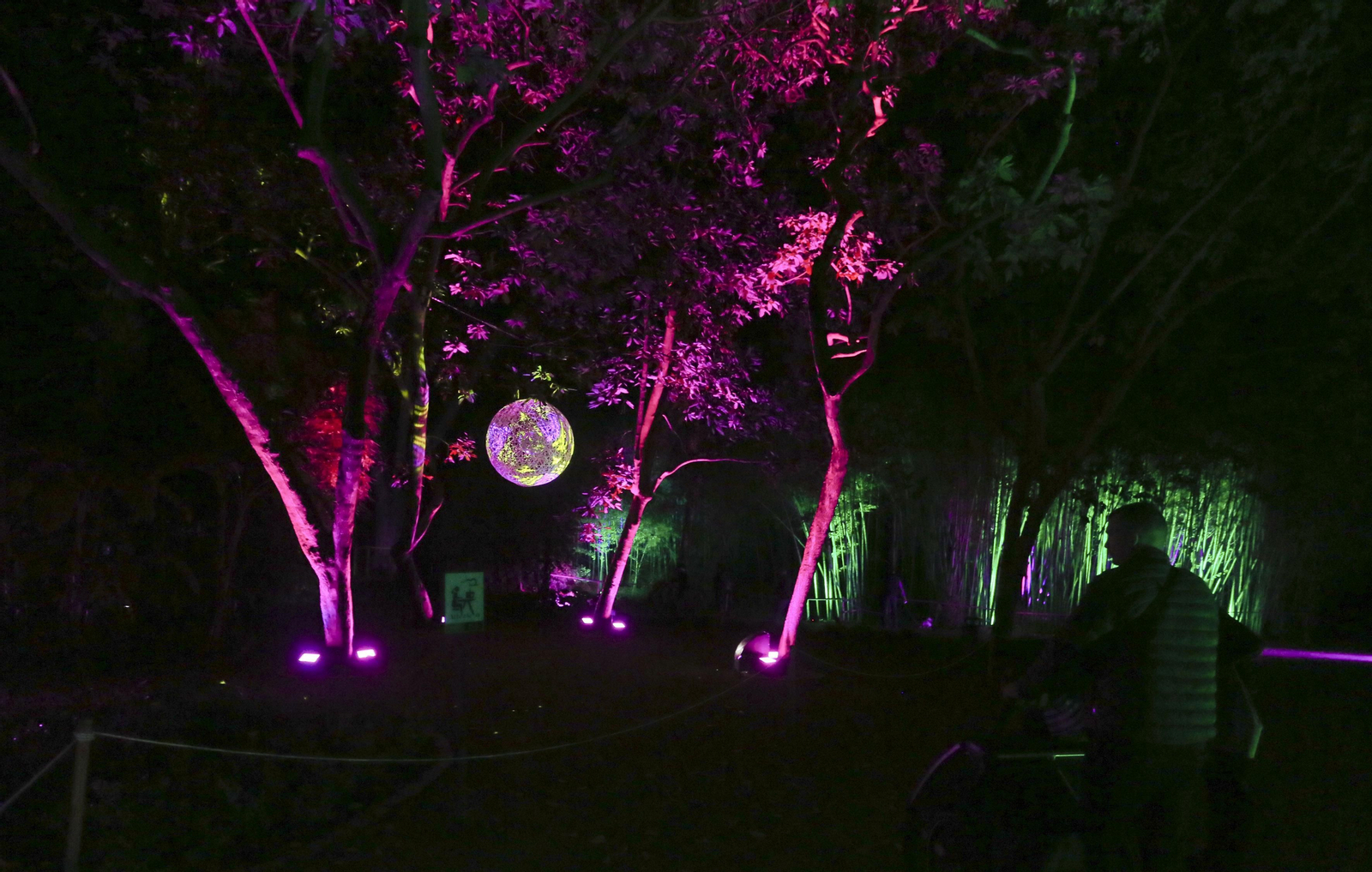 Las luces del Jardín Botánico de Málaga esta Navidad, en fotos