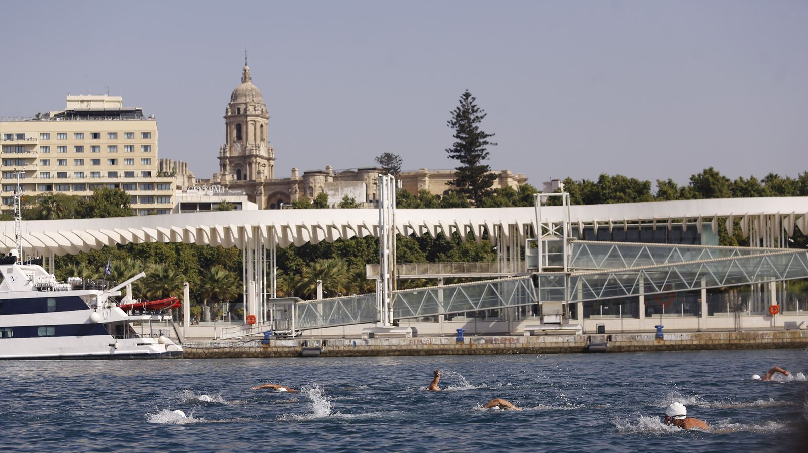 Fotos de la 60ª Travesía a Nado del Puerto de Málaga
