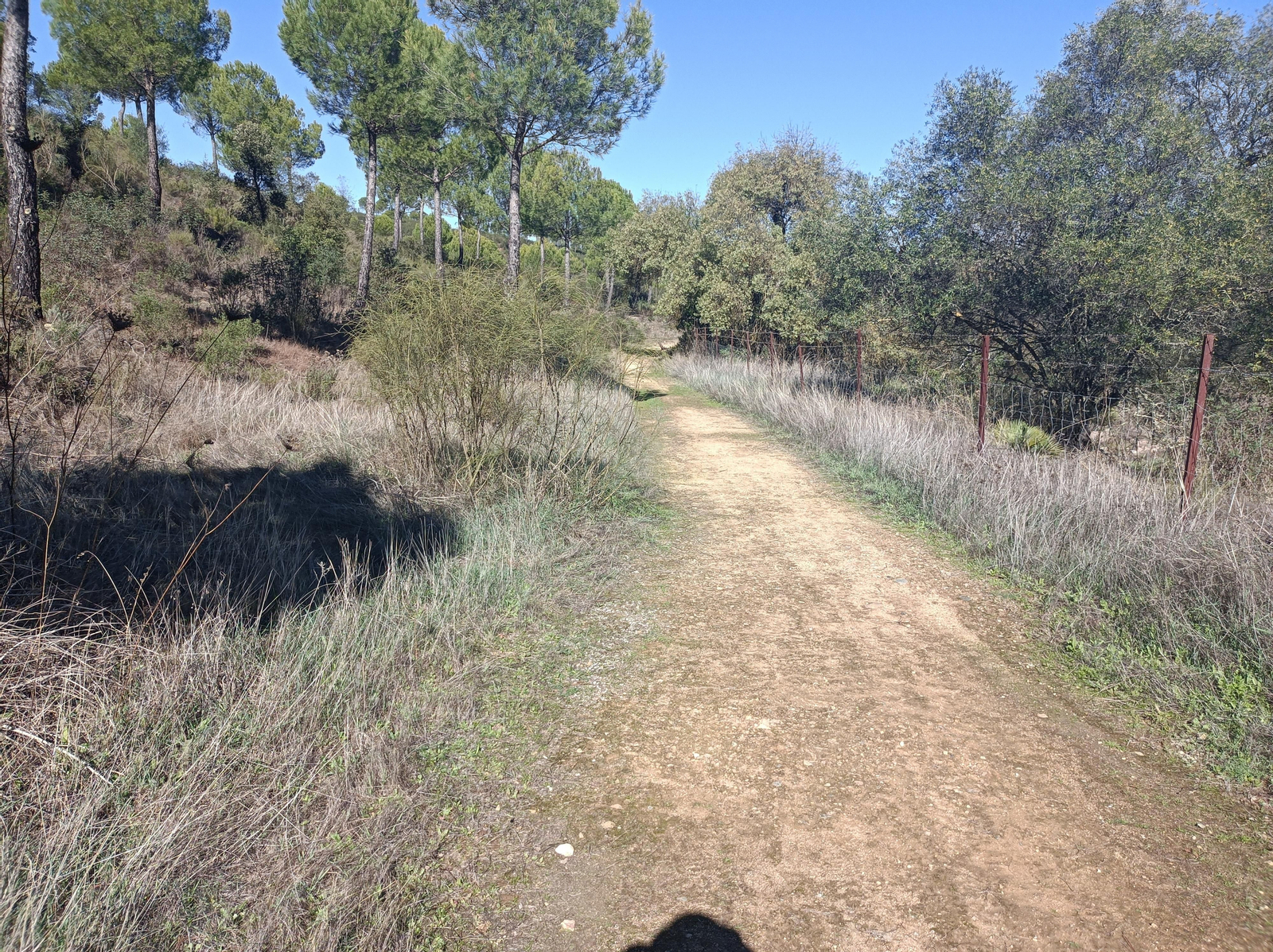 Ruta de Las Cañadillas