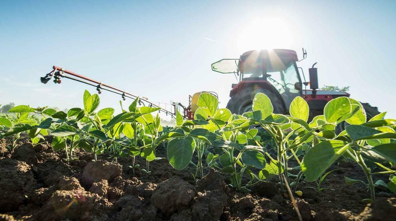 La entidad financiera pone líneas de financiación ágil a disposición de los profesionales del sector agro.