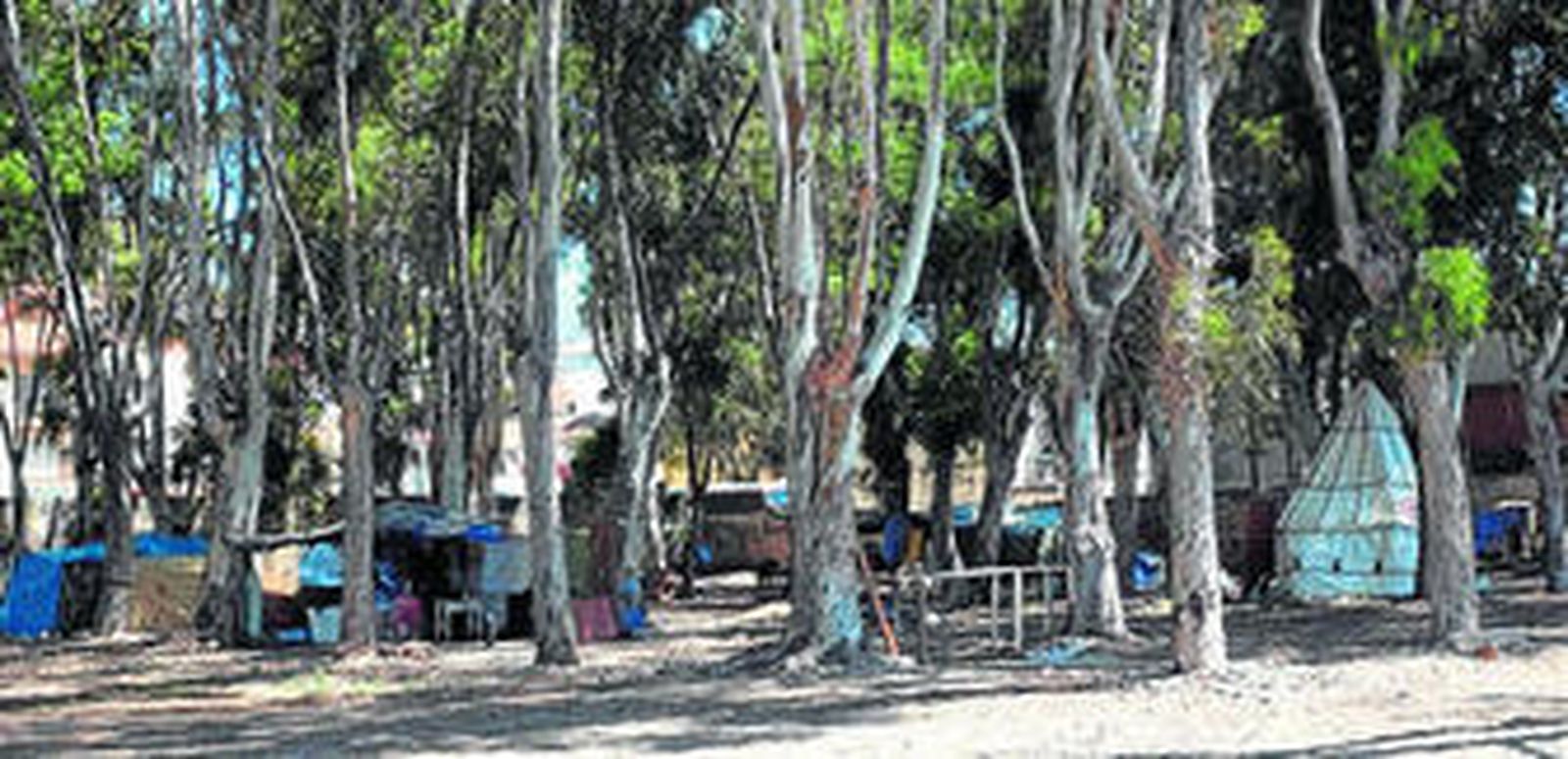 Intervención de Cruz Roja en un asentamiento en el Guadalhorce y que fue desmantelado por la Policía a principios de año.