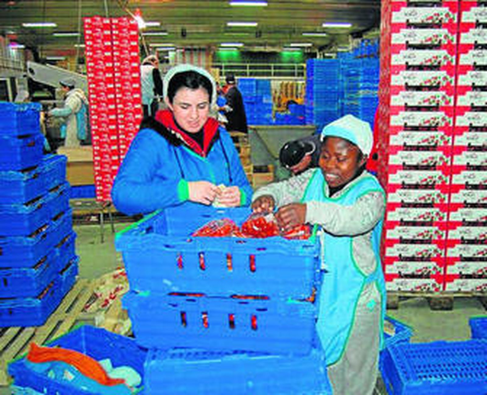 Dos de las personas que han conseguido empleo en el sector agrícola.