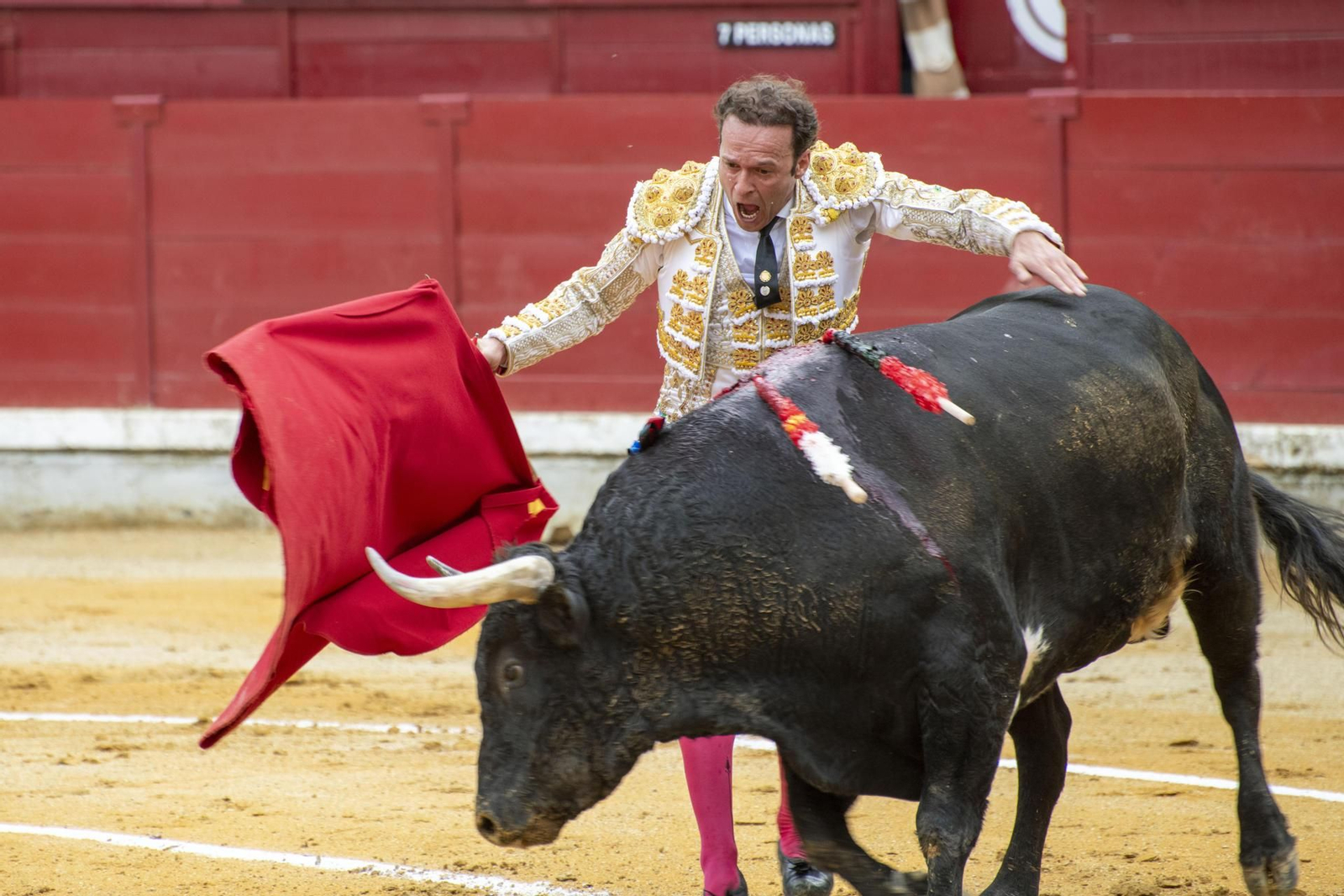La primera corrida de San Lucas con el Fandi, Ferrera y Escribano, en imágenes