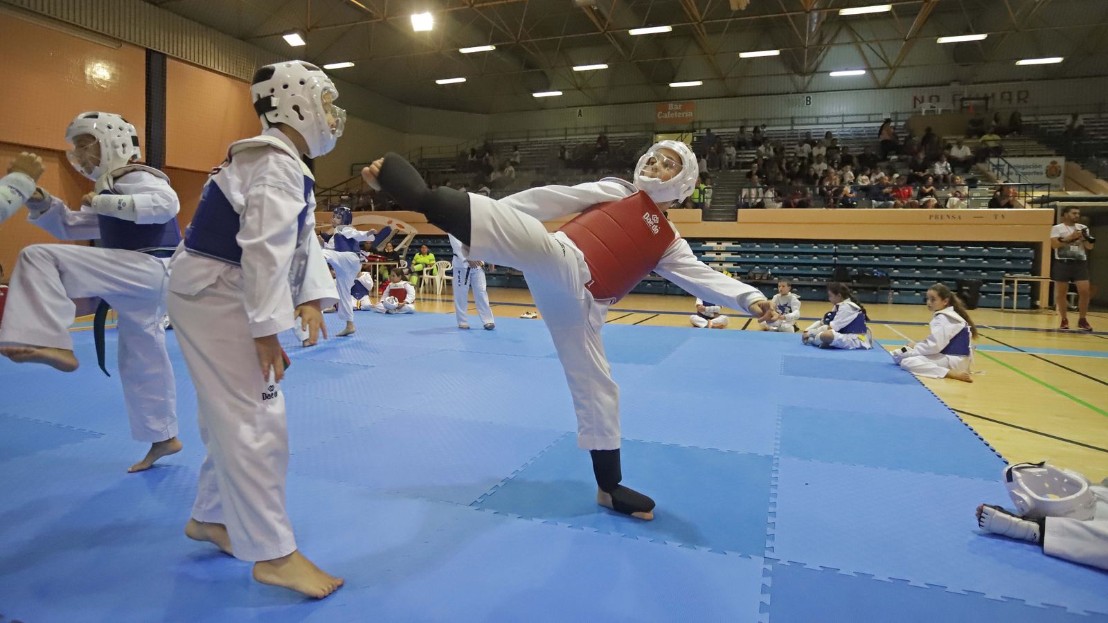 Fotos del encuentro "Campeonato Promoción Deporte Base" de Taekwondo en Algeciras