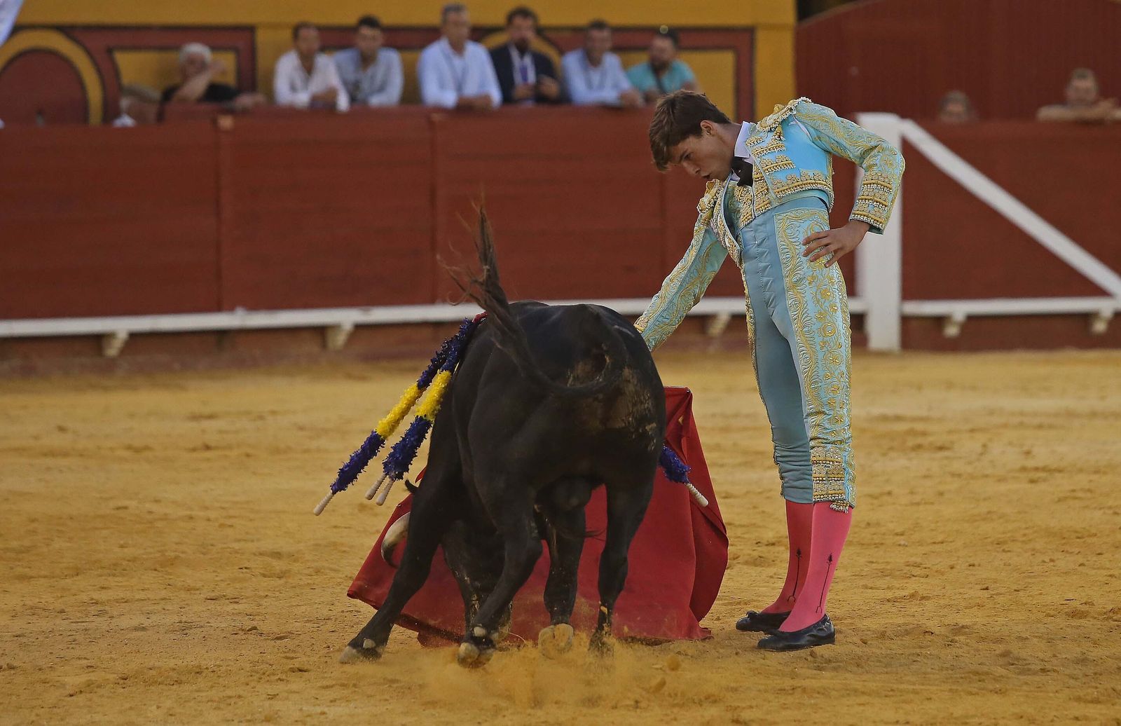 La novillada de Miguelín que abre la feria de Algeciras, en imágenes