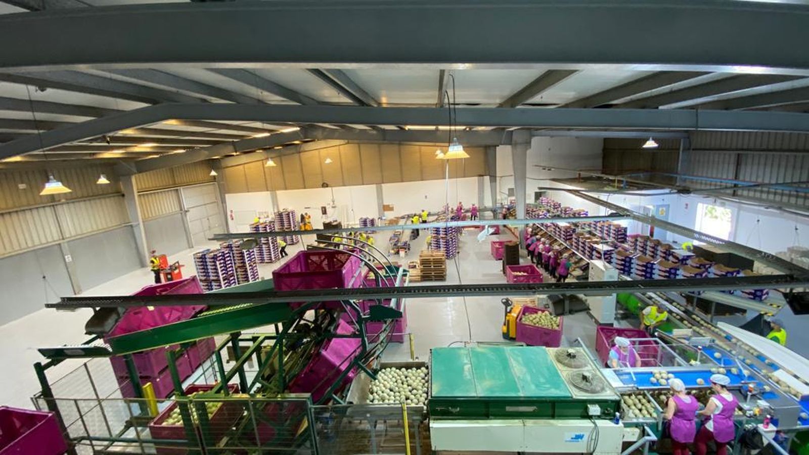 La planta de manipulación y envasado para los melones en Puerto Serrano.