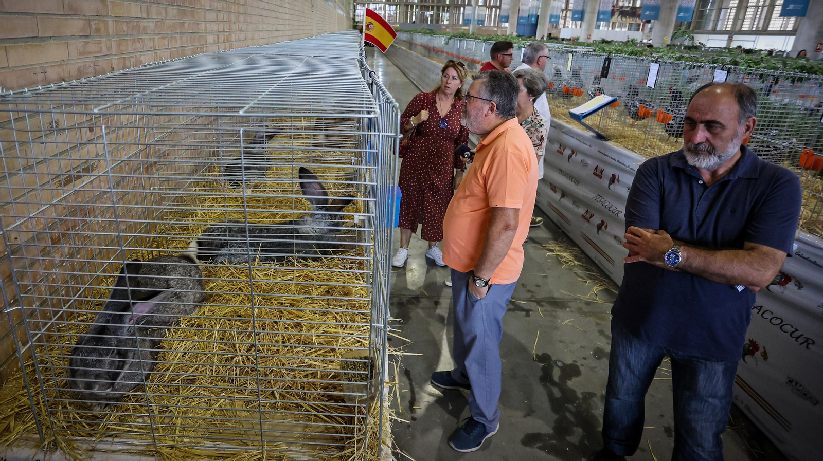 Comienza la feria de la ganadería y la agricultura en IFECA