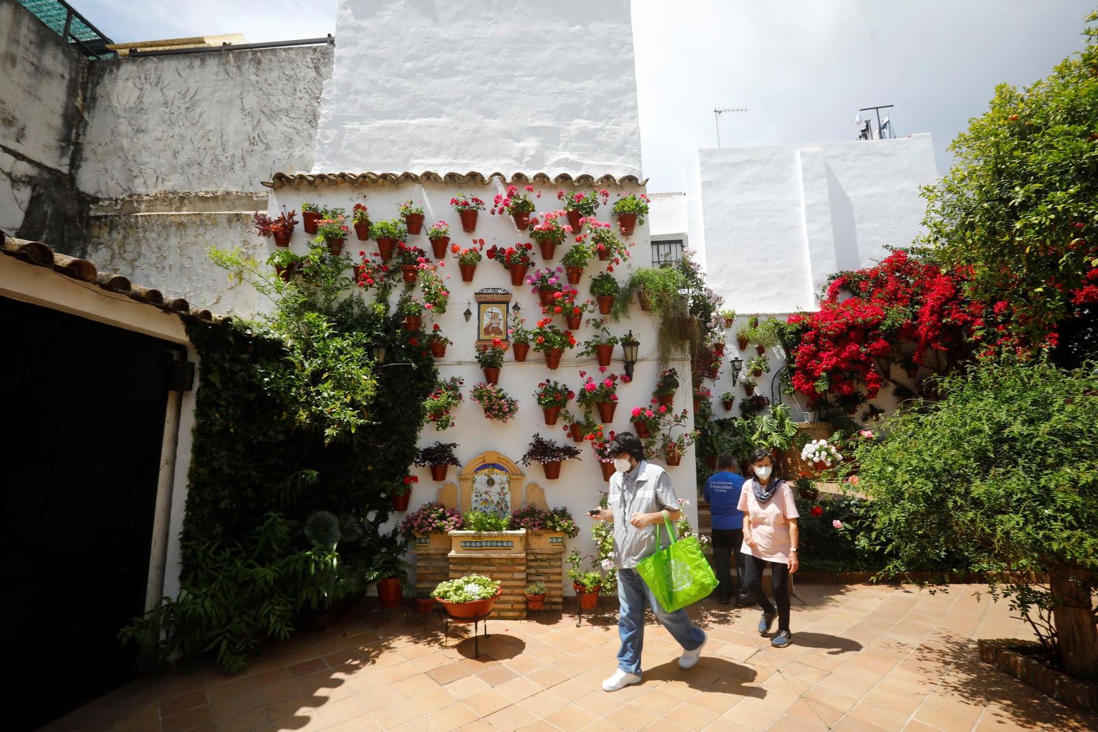Un recorrido en imágenes por los patios de la ruta Regina-Realejo