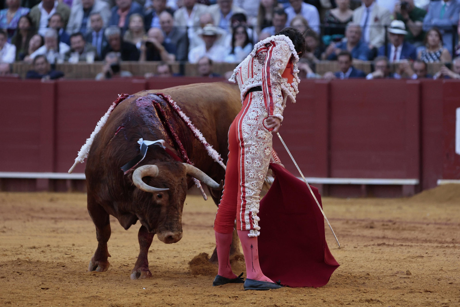 Las imágenes del festejo
