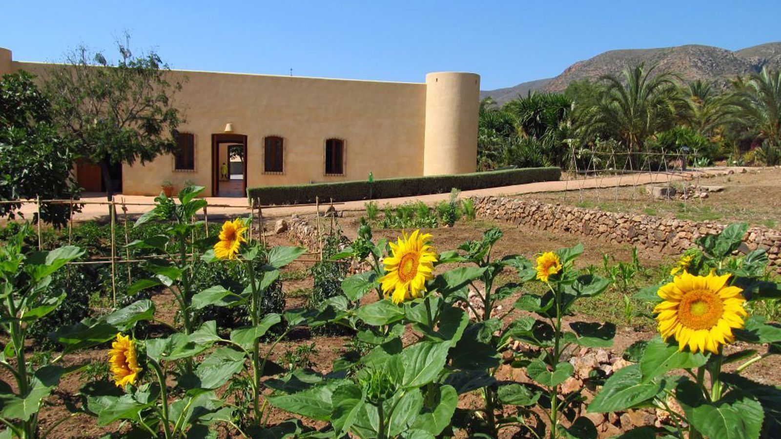 Jardín Botánico El Albardinal