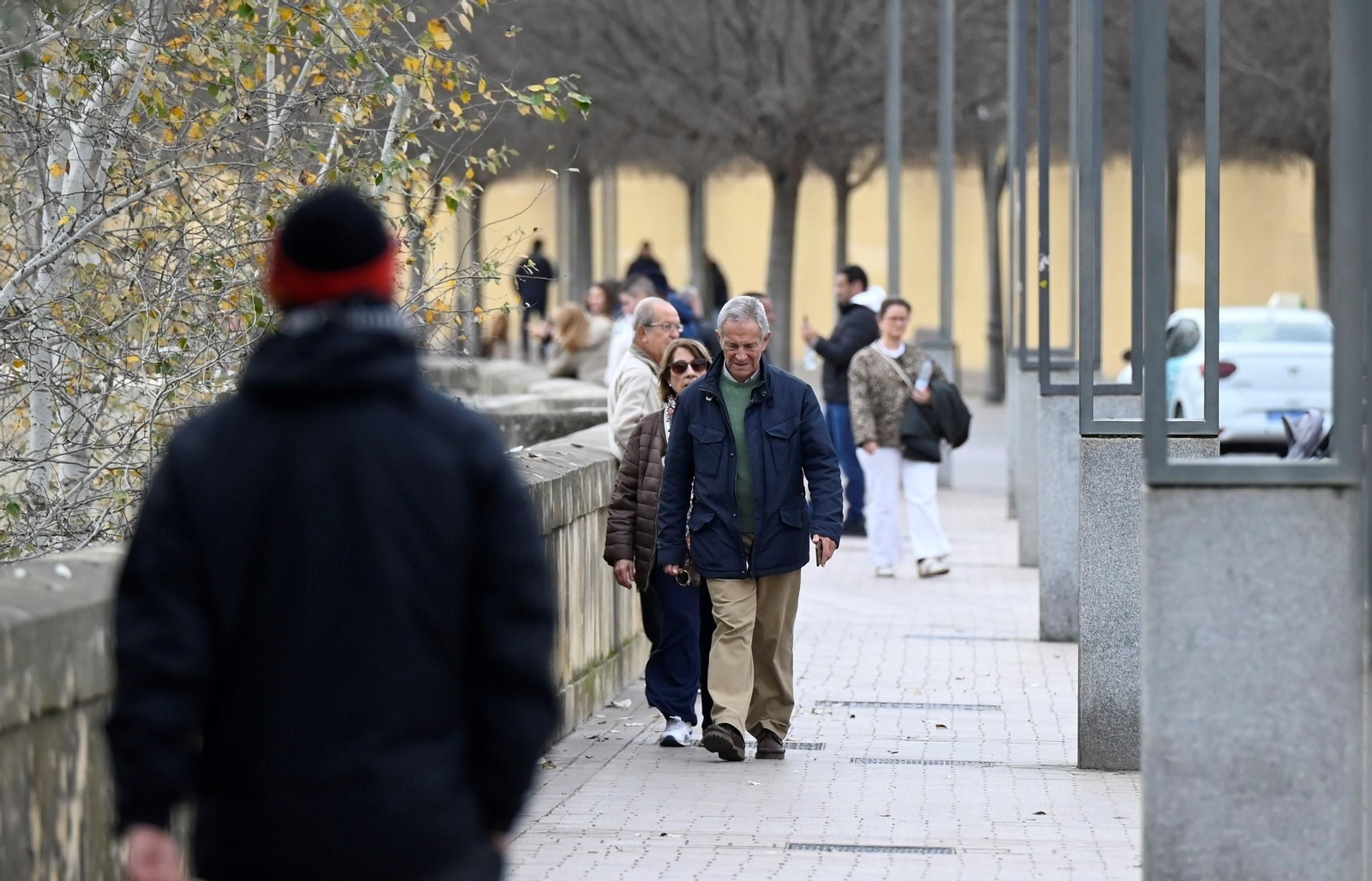 Un paseo en imágenes por la Ribera de Córdoba una gélida mañana