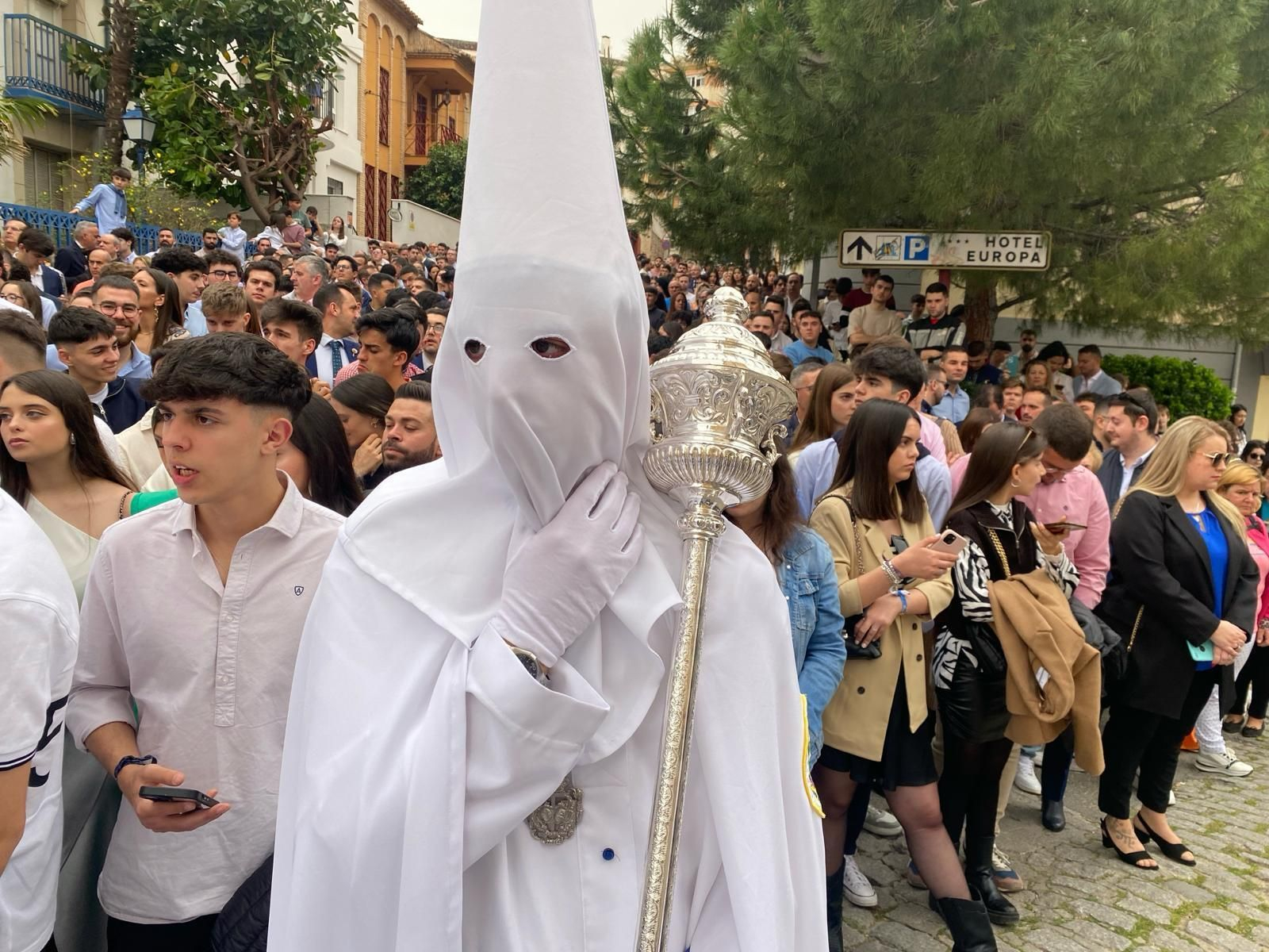 La Borriquilla el Domingo de Ramos en Jaén.