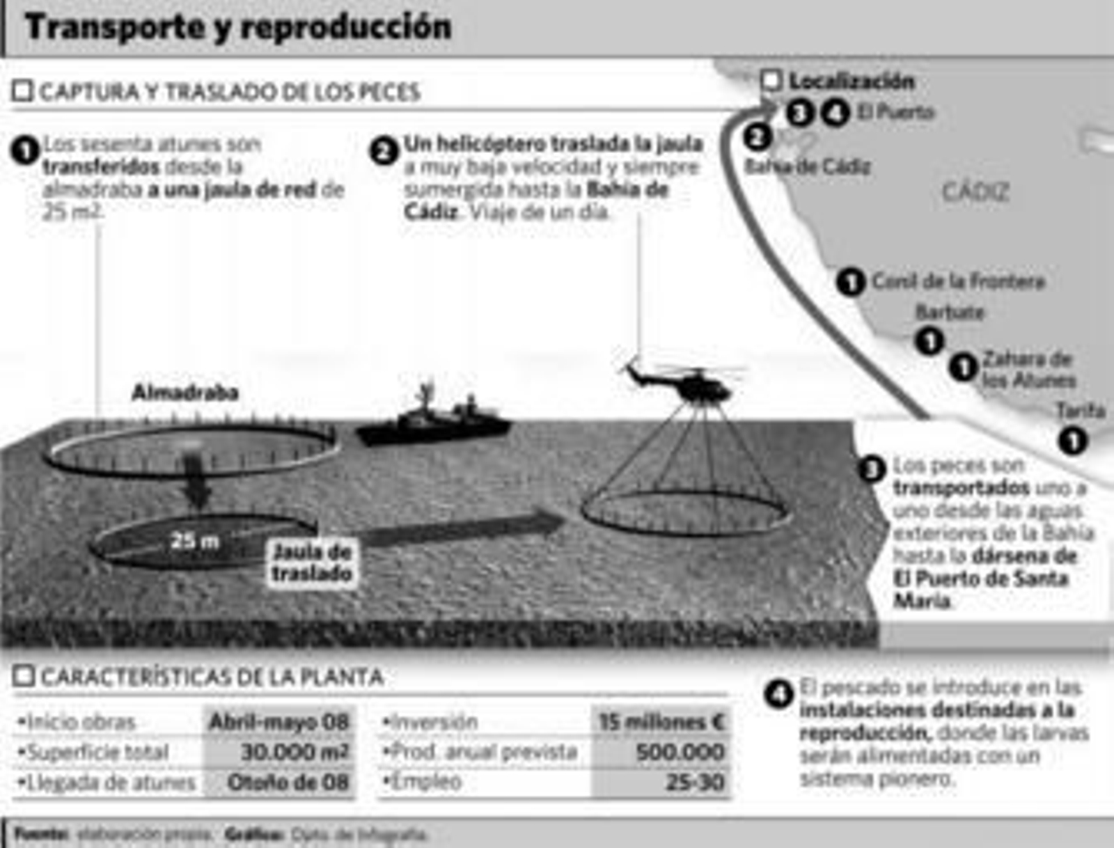 Atunes gaditanos para el mundo