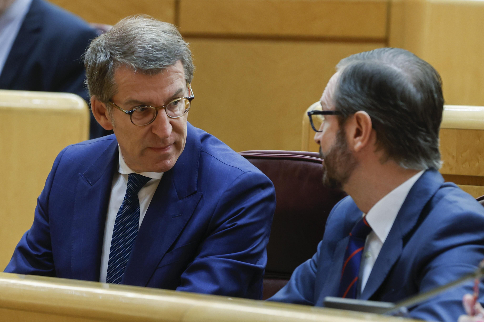 Alberto Núñez Feijóo, en el Senado