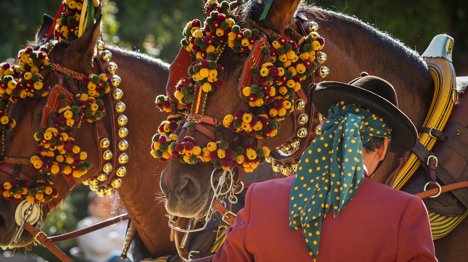 Tradición y elegancia en el Concurso Internacional de Enganches