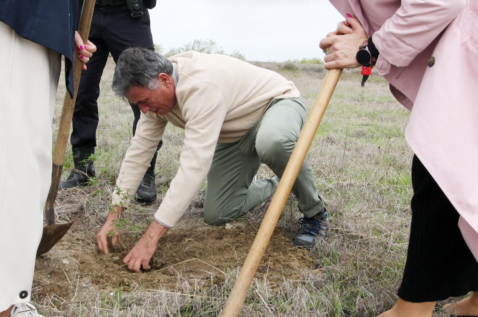 Imágenes de la plantación de árboles en los Llanos de Bacuta, en el Paraje Natural Marismas del Odiel, Huelva