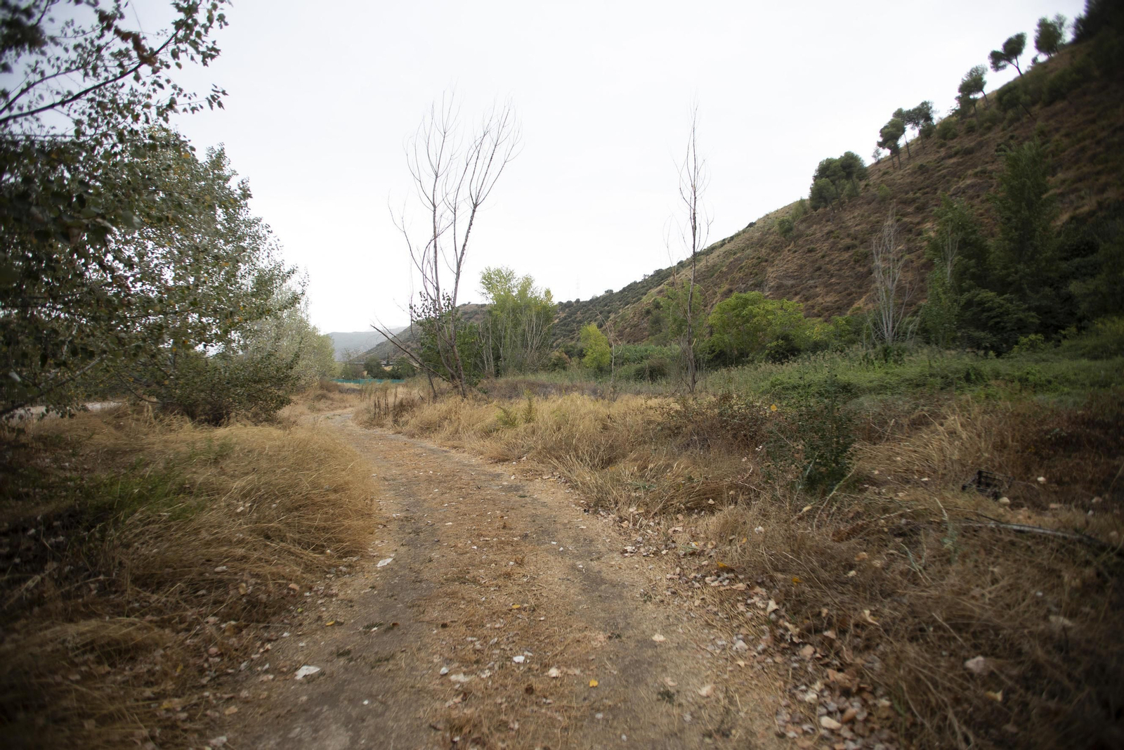 Ruta del Colesterol en Granada: cauces de los ríos Genil y Monachil