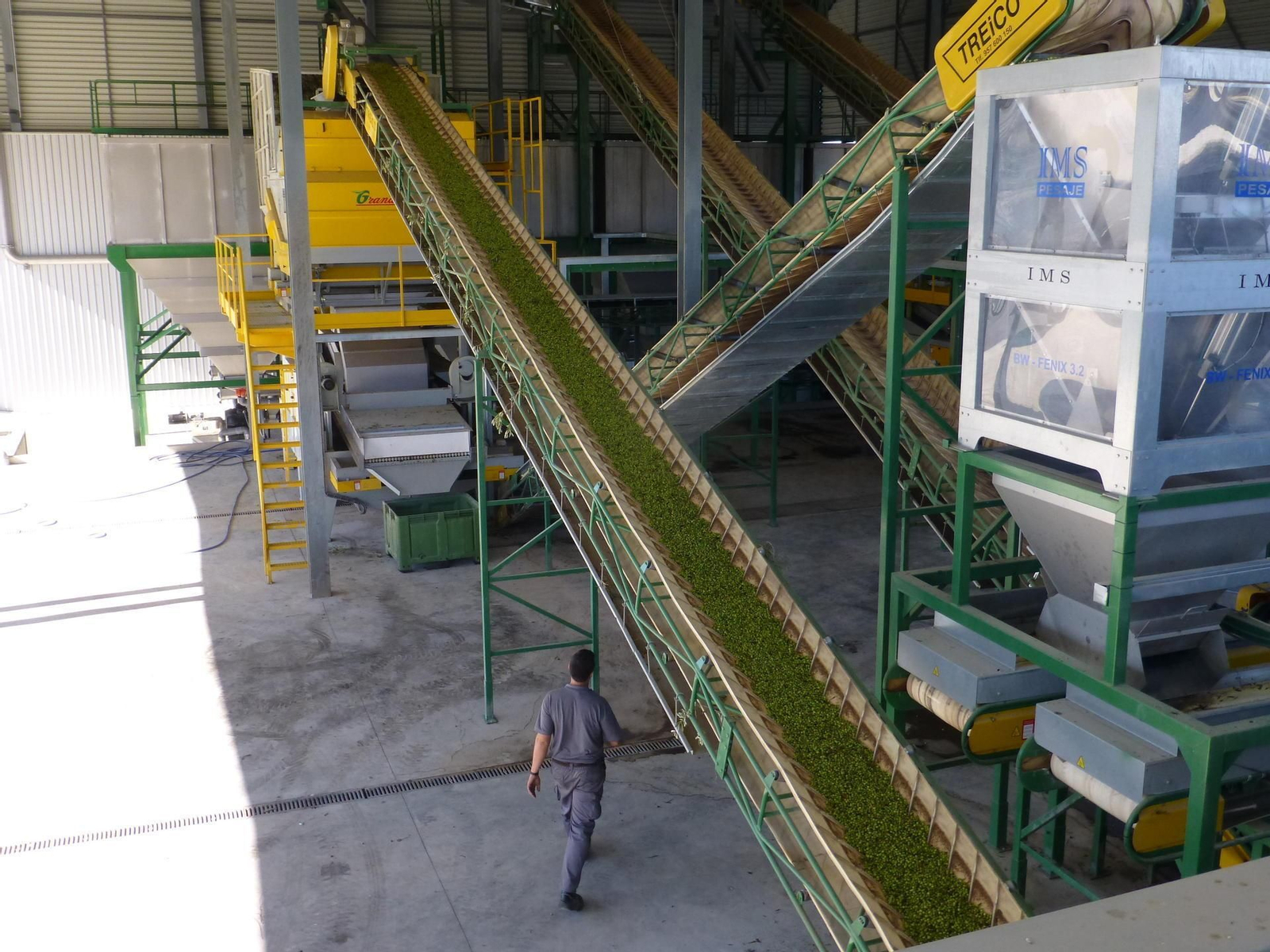 Almazara de la empresa Aceites Canoliva, de Baena, donde ya se ha molturado la primera aceituna.