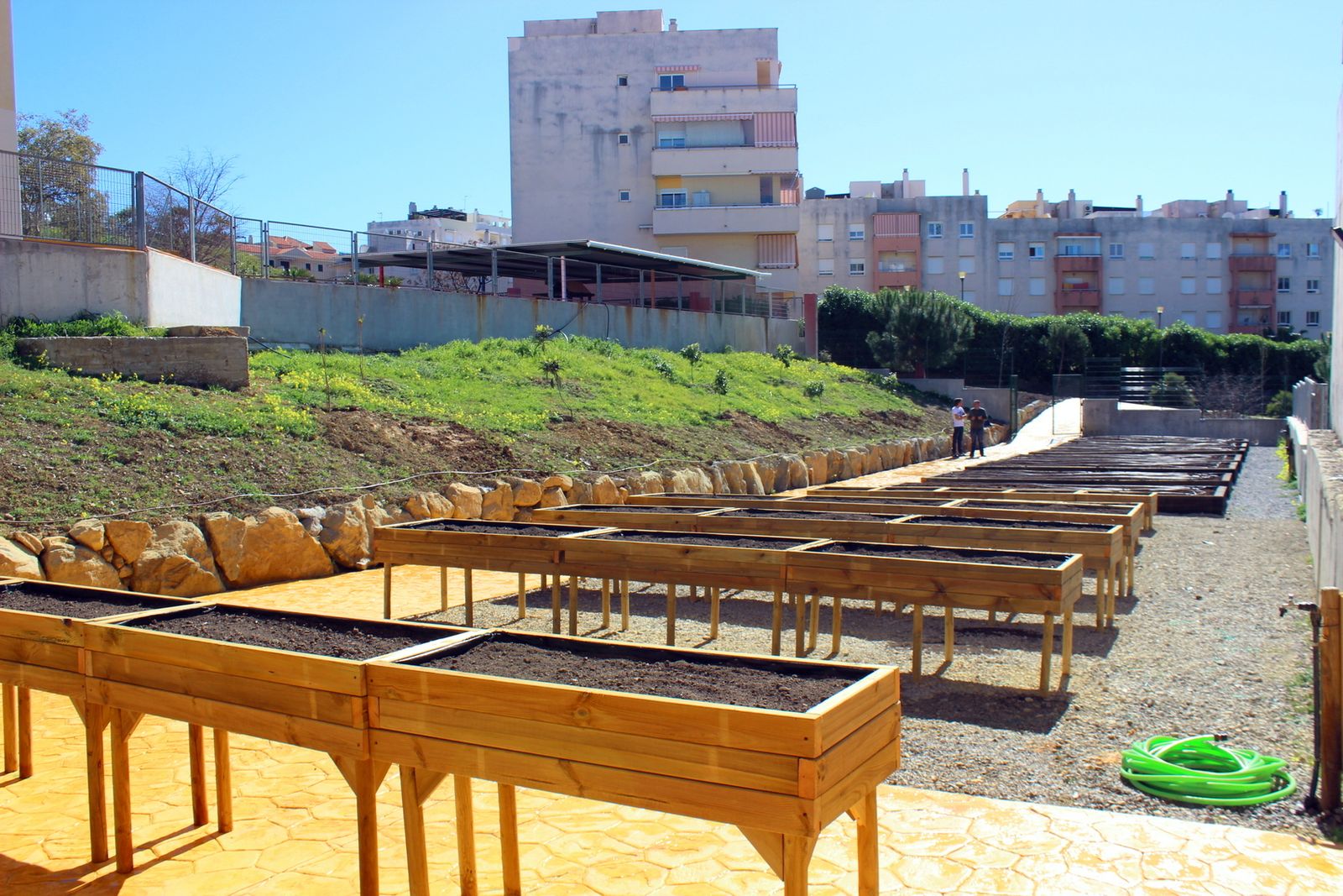 Vista general del primer huerto urbano escolar de de Estepona.