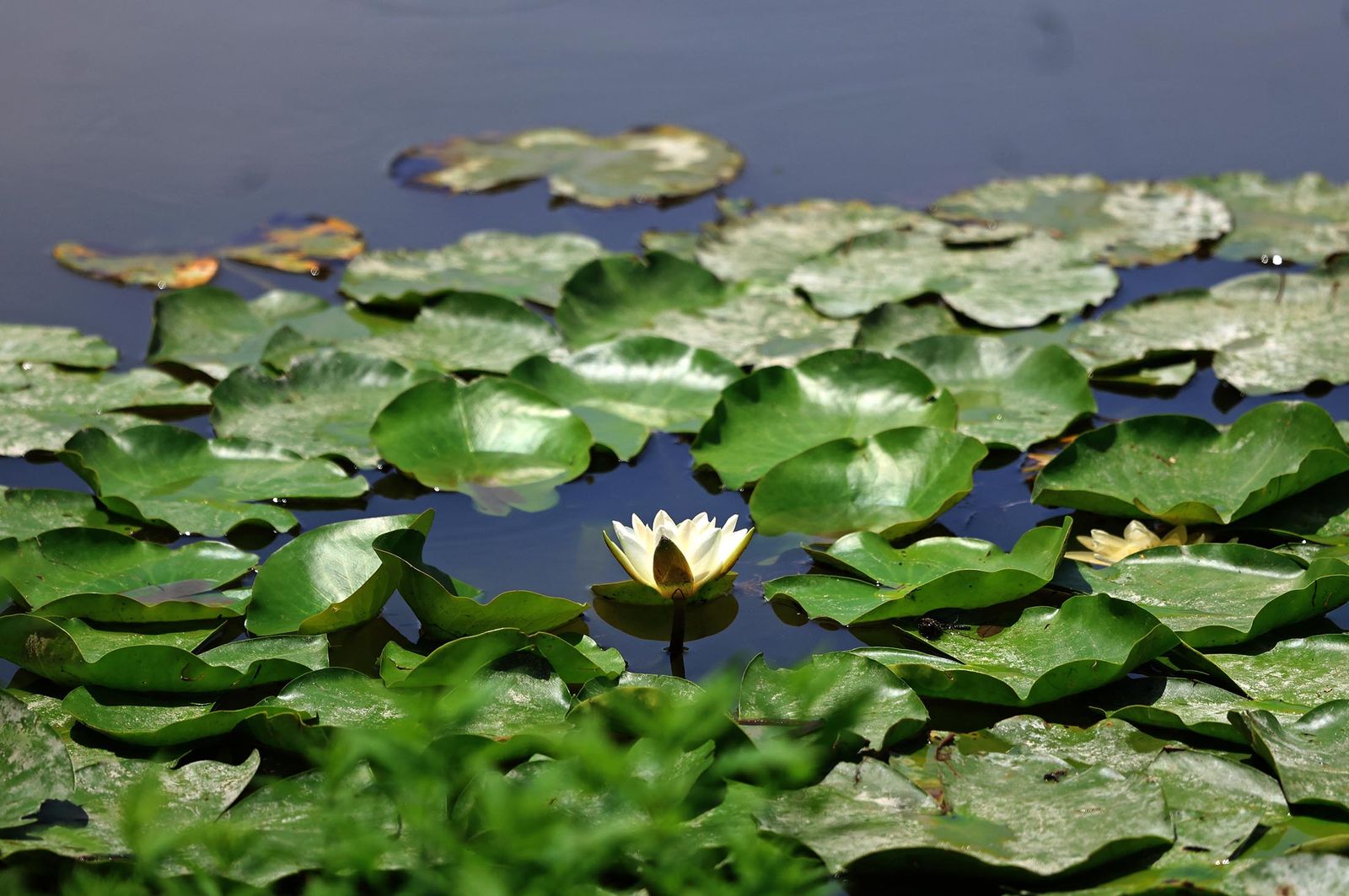 Imágenes del lunes 23 de junio en Huelva