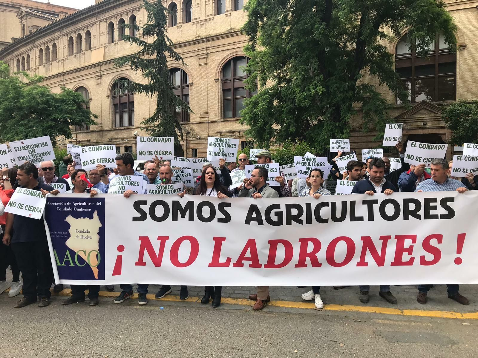 Agricultores del Condado, en Sevilla, ante la sede de la CHG.