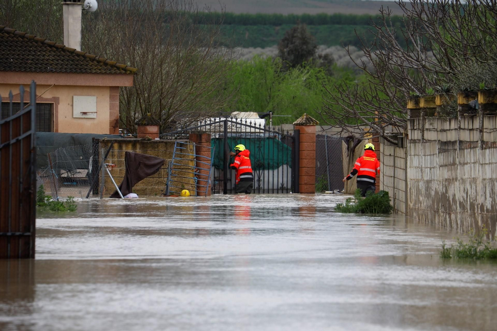 Las imágenes de las parcelaciones inundadas por la crecida del río Guadalquivir