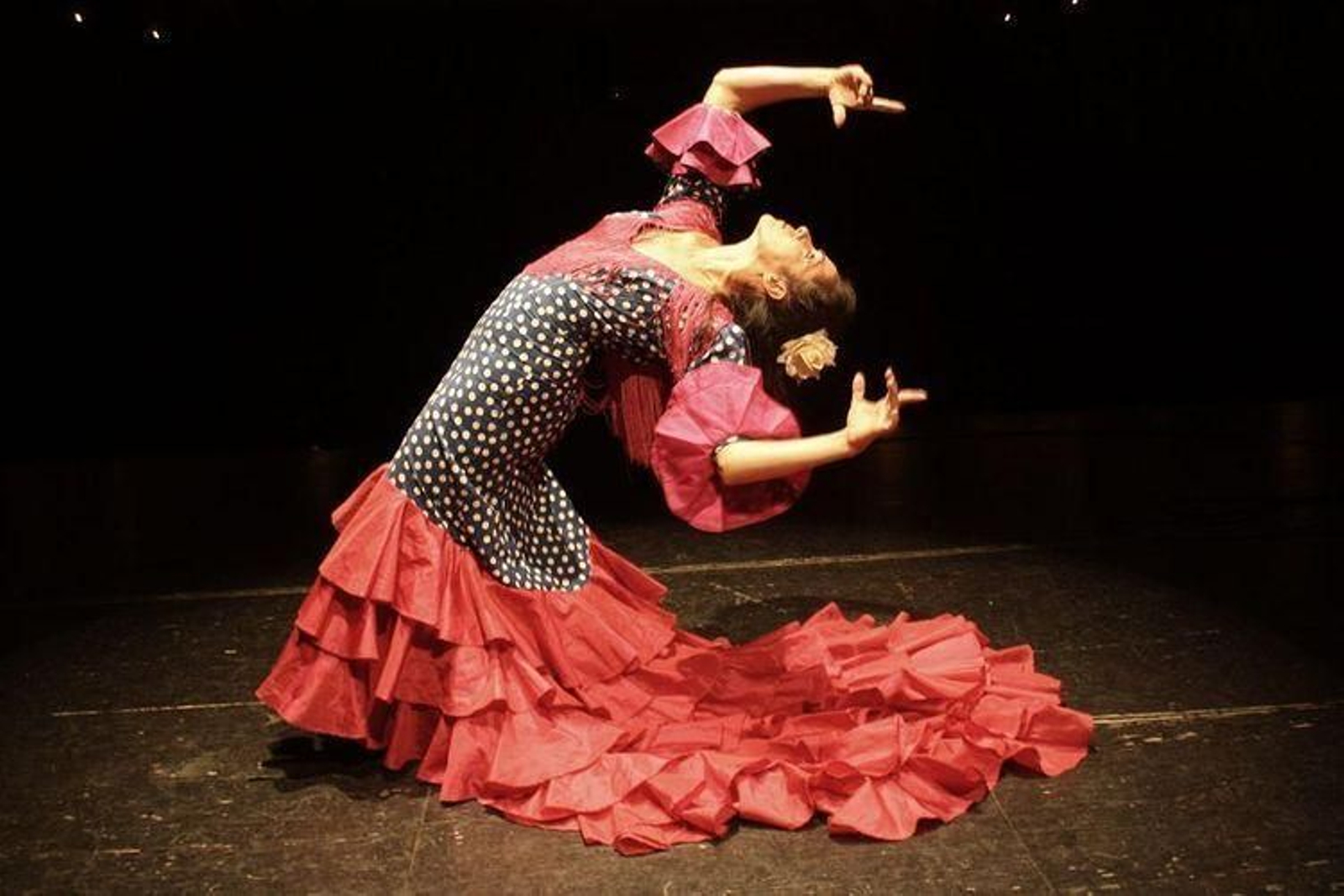 Macarena Andrades. Bailaora. Por su trayectoria profesional.