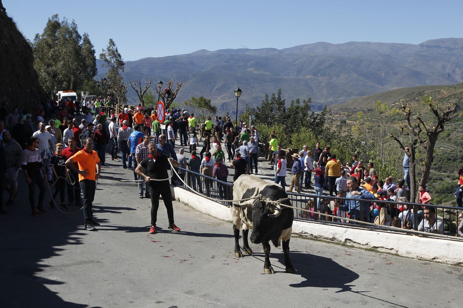 Fotogalería Tosos Ensogaos Ohanes. Fiestas San Marcos.